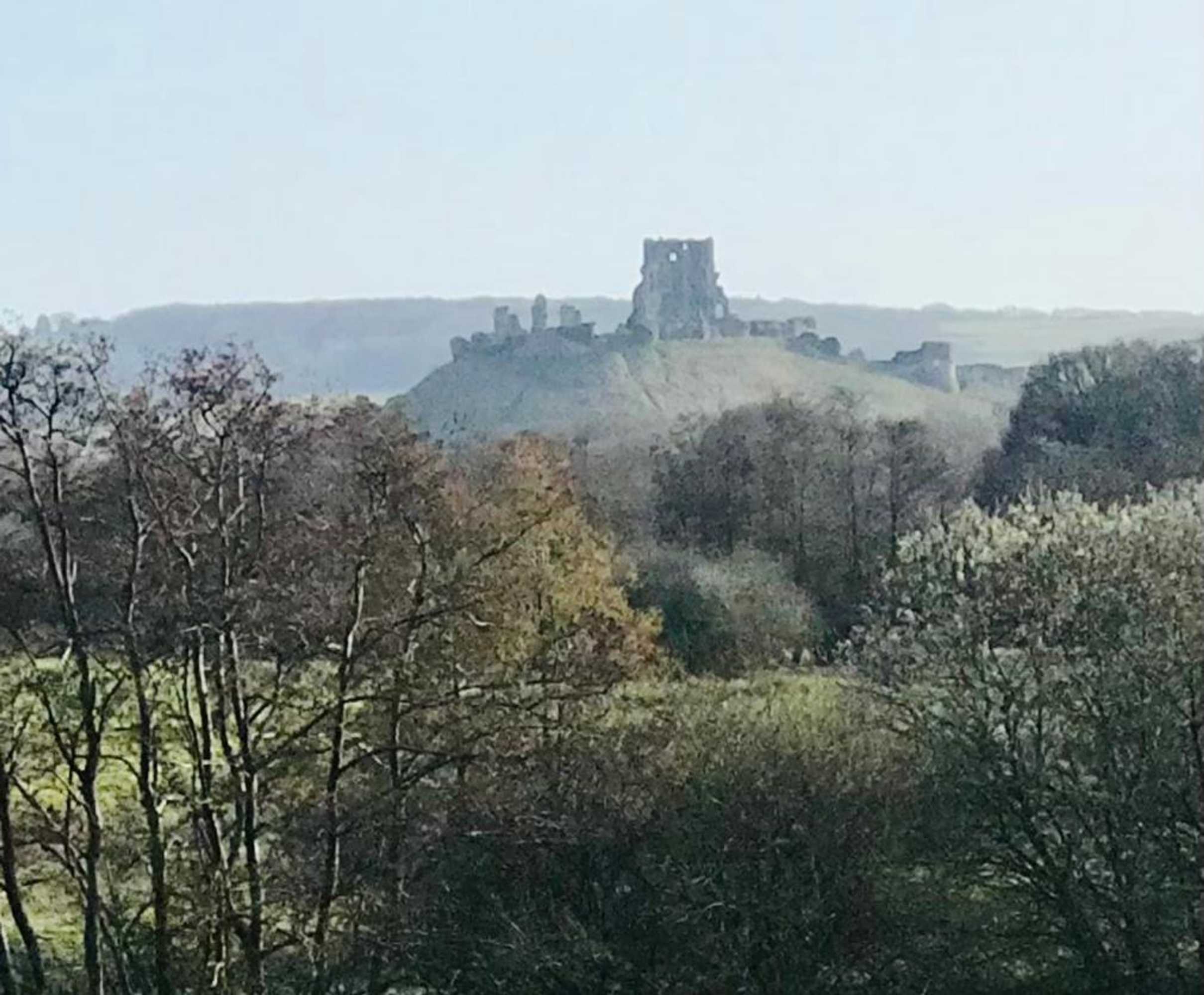 Gift card for Arbour House Bed And Breakfast