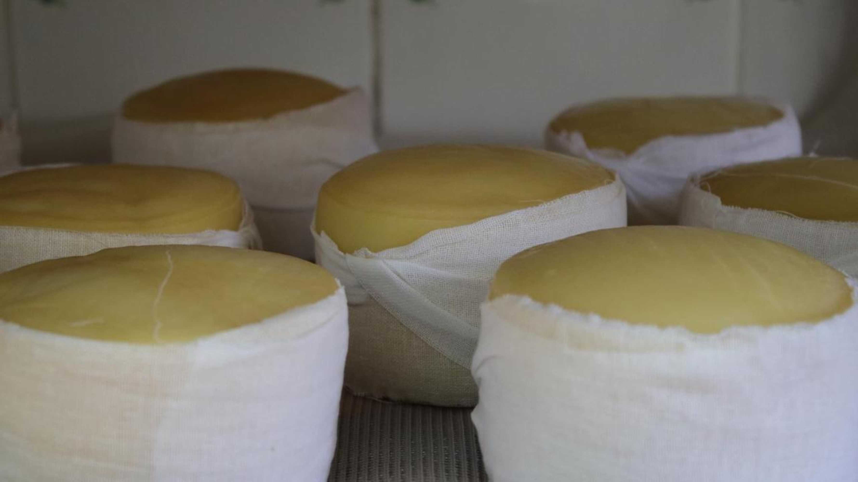 Gift card for Quinta da Cerdeira