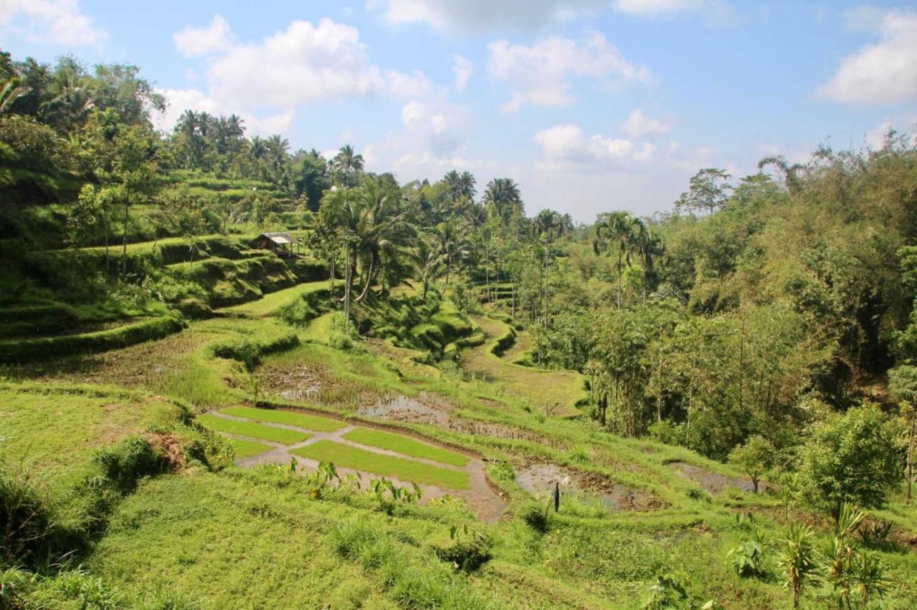 Gift card for Ariel Bungalow Tetebatu