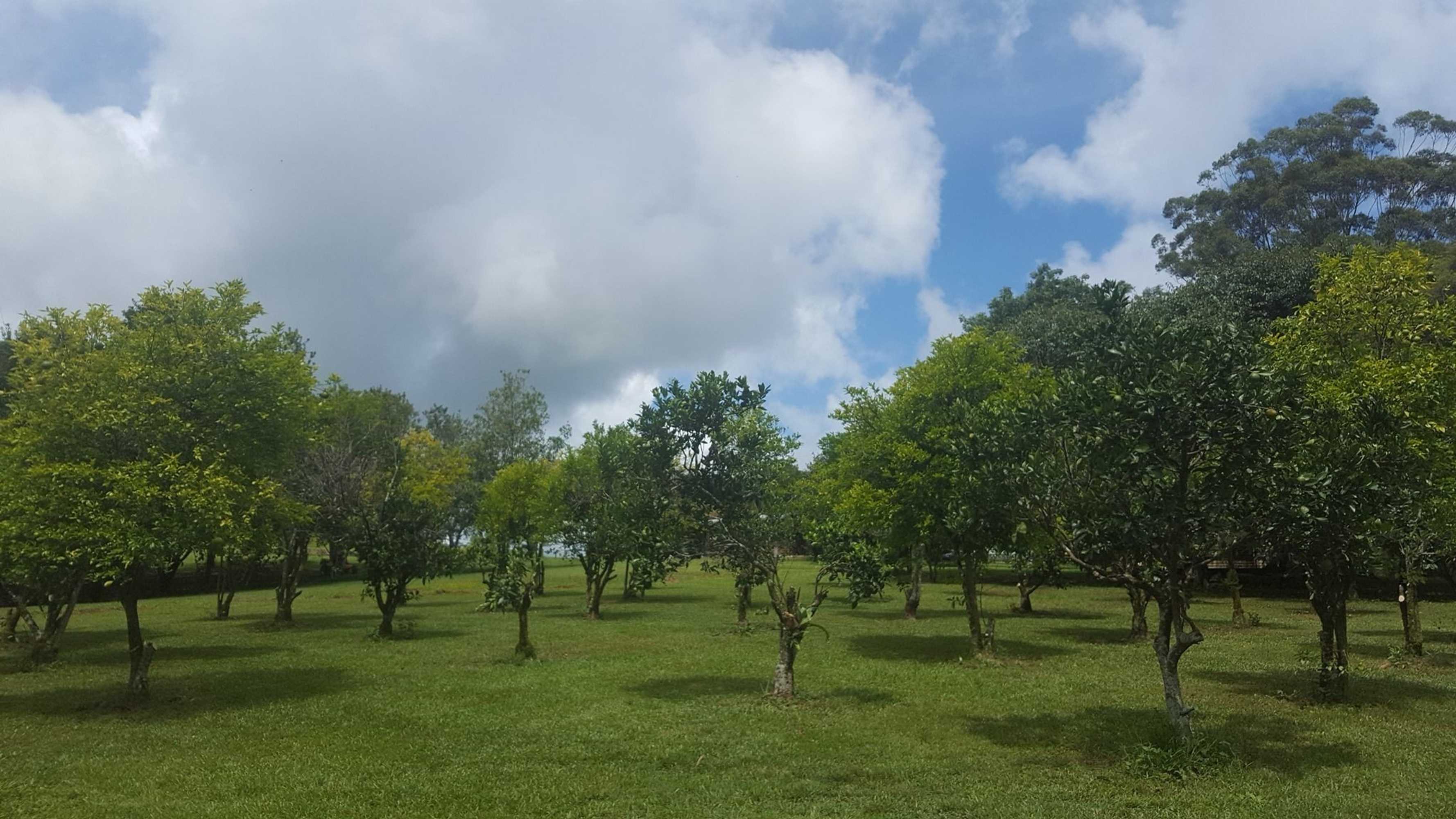 Gift card for Mccarthy Grove