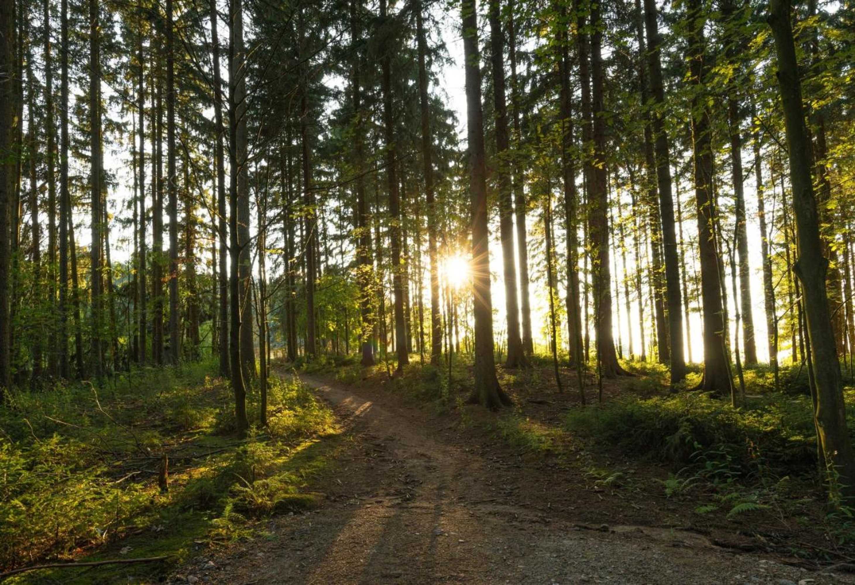 Gift card for Waldgasthof & Hotel Am Sauwald