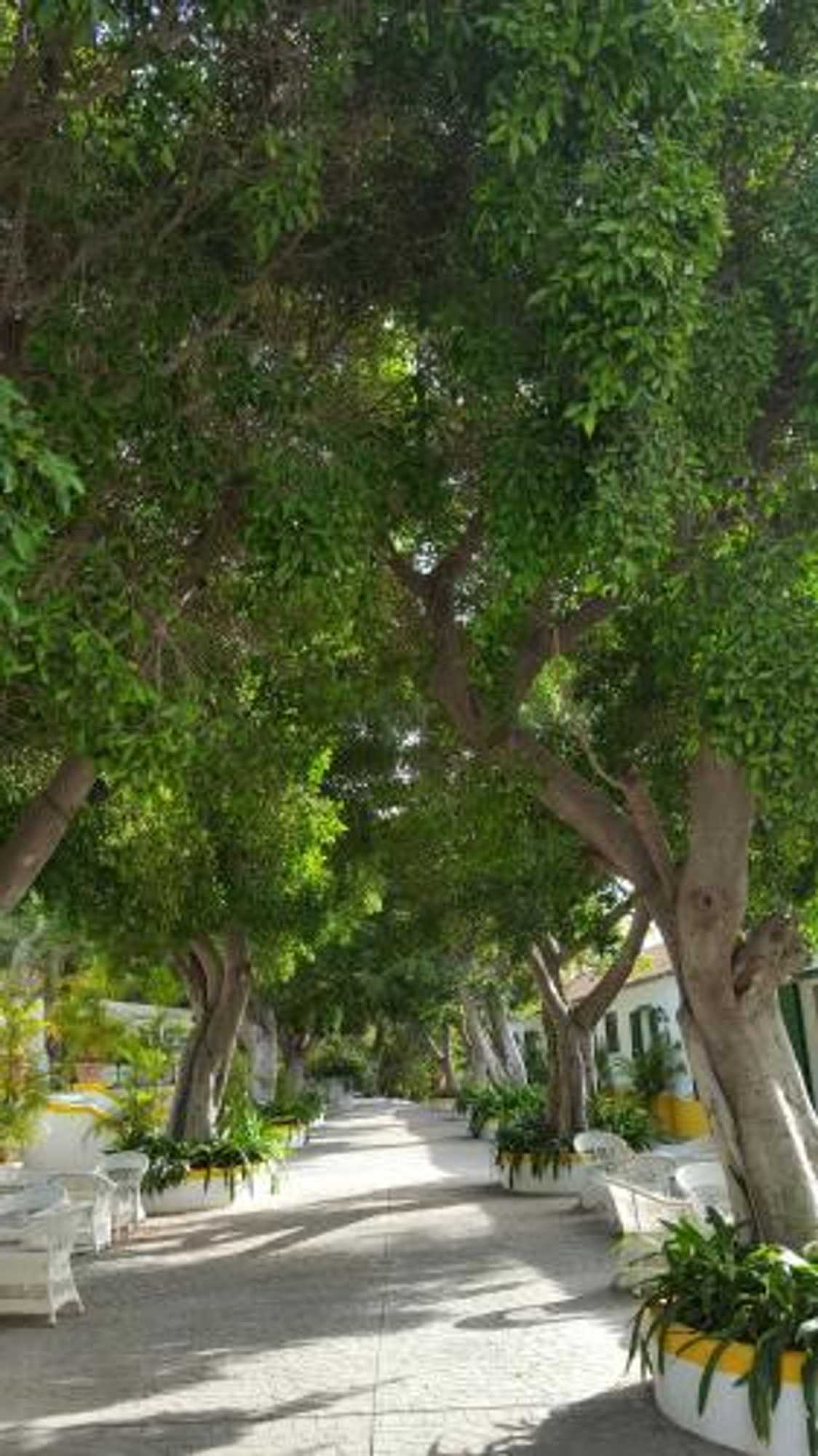 Gift card for Cortijo San Ignacio Hotel Rural Gift card for Cortijo San Ignacio Hotel Rural