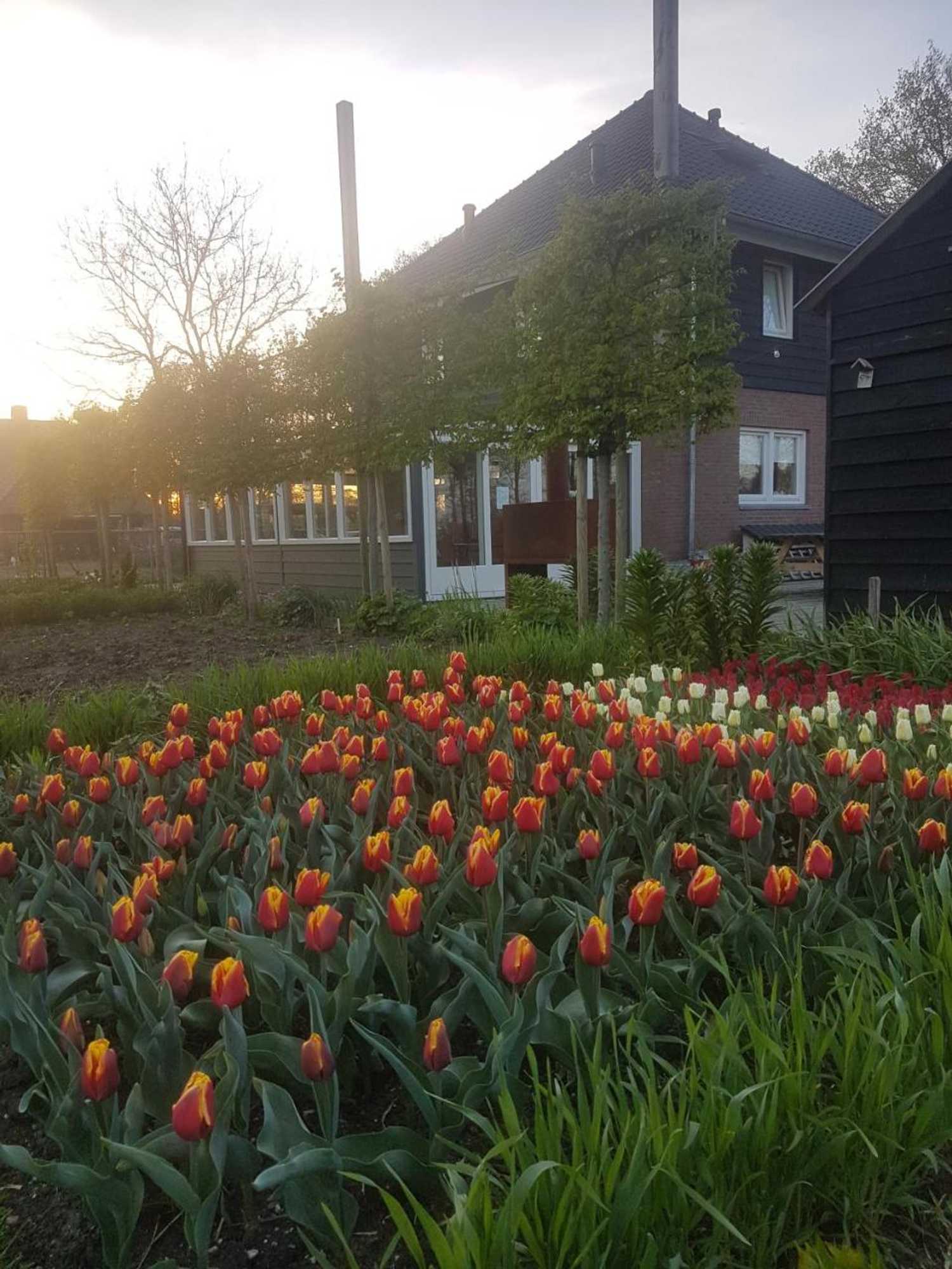 Gift card for B&b De Volkelse Hooiberg