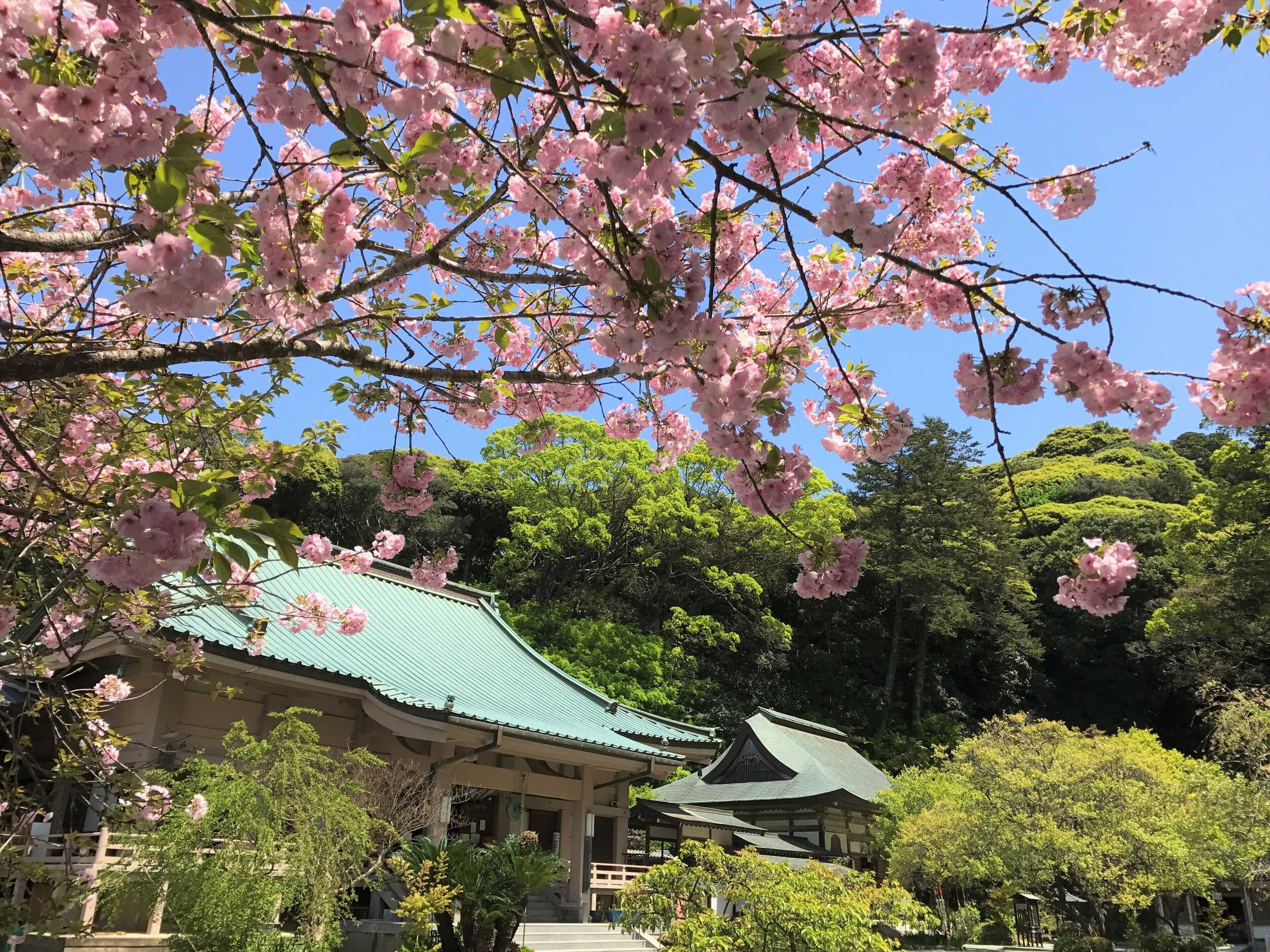 Gift card for Mercure Fukuoka Munakata Resort & Spa Gift card for Mercure Fukuoka Munakata Resort & Spa