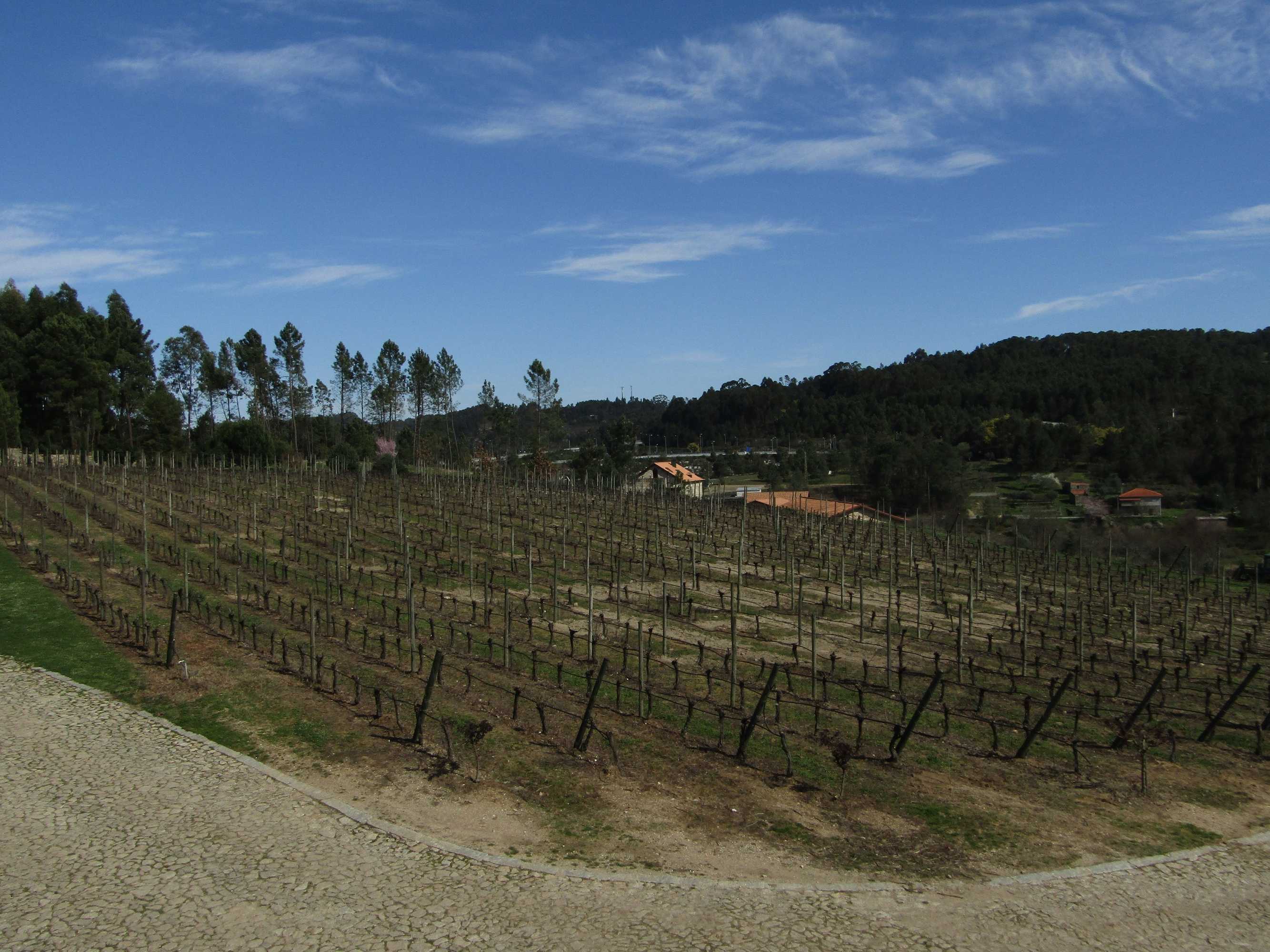 Gift card for Quinta do Medronheiro Hotel Rural