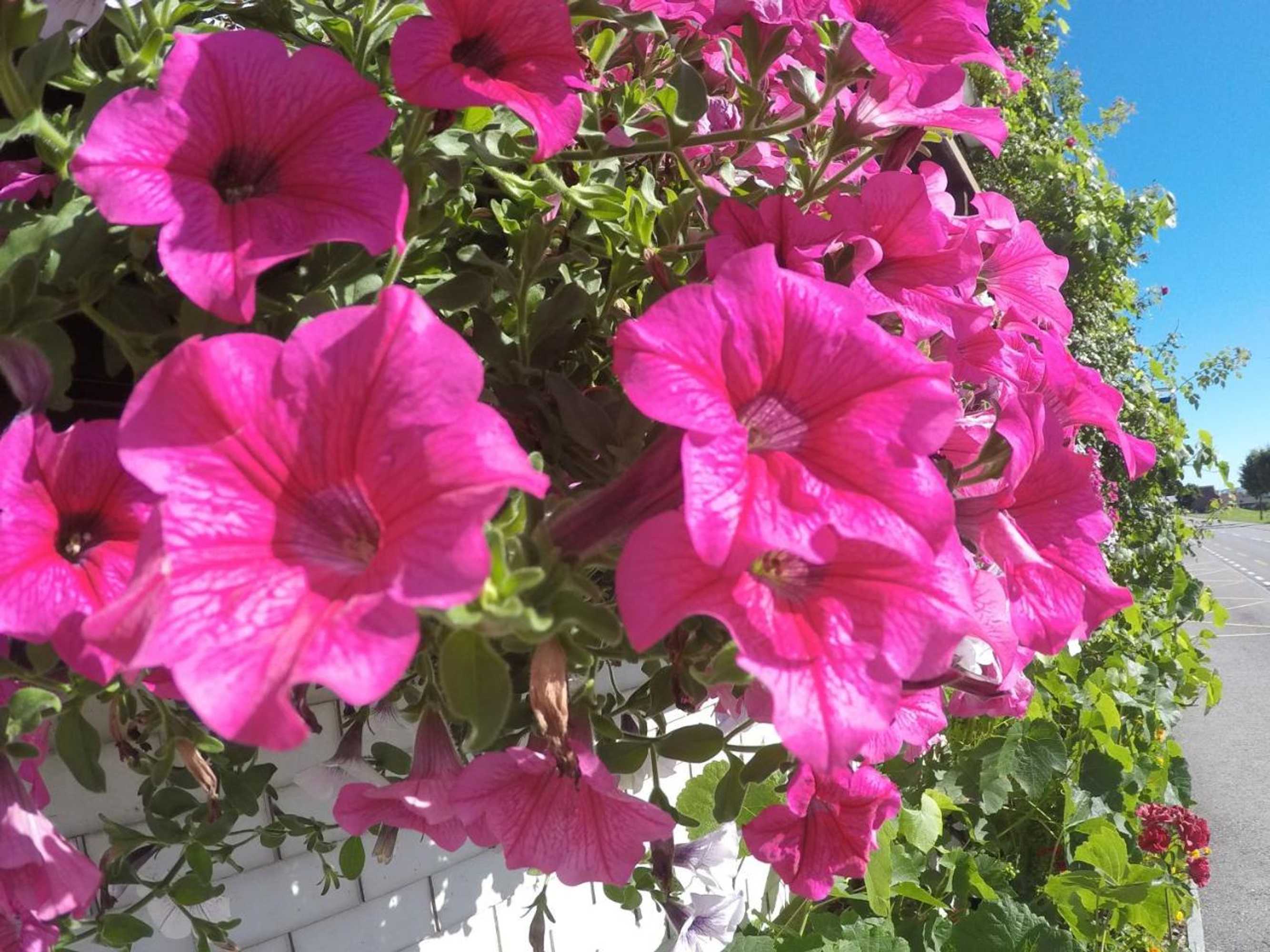 Gift card for Hotel Garni Traube