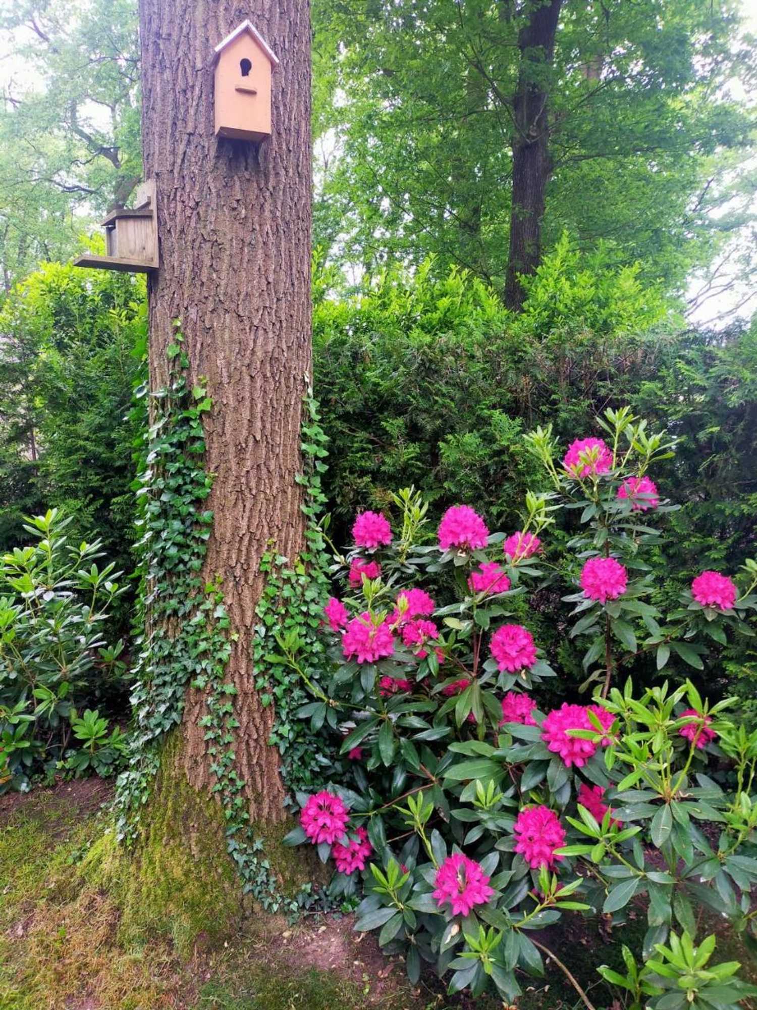 Gift card for Vakantie Veluwe