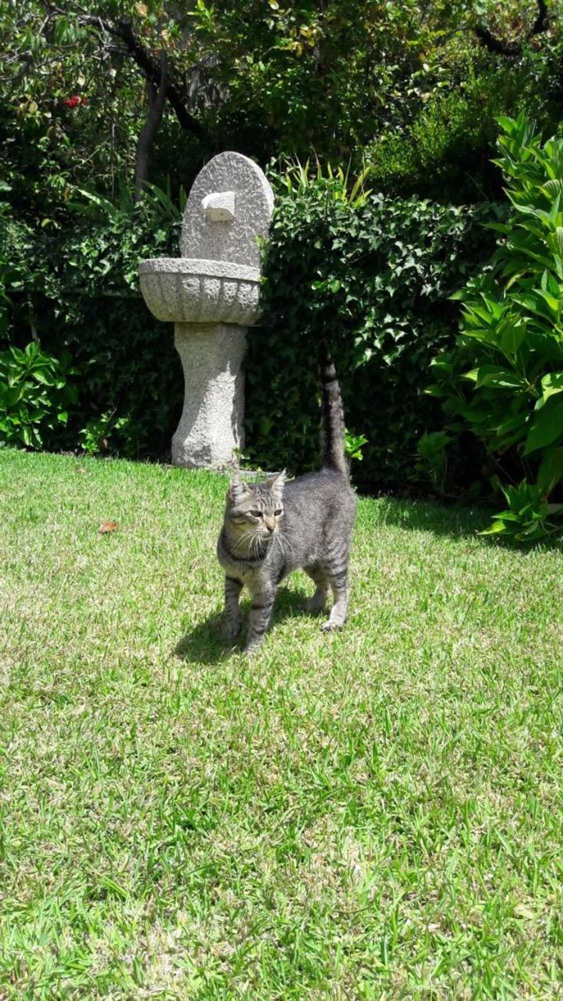 Gift card for Quinta Drº Amarante