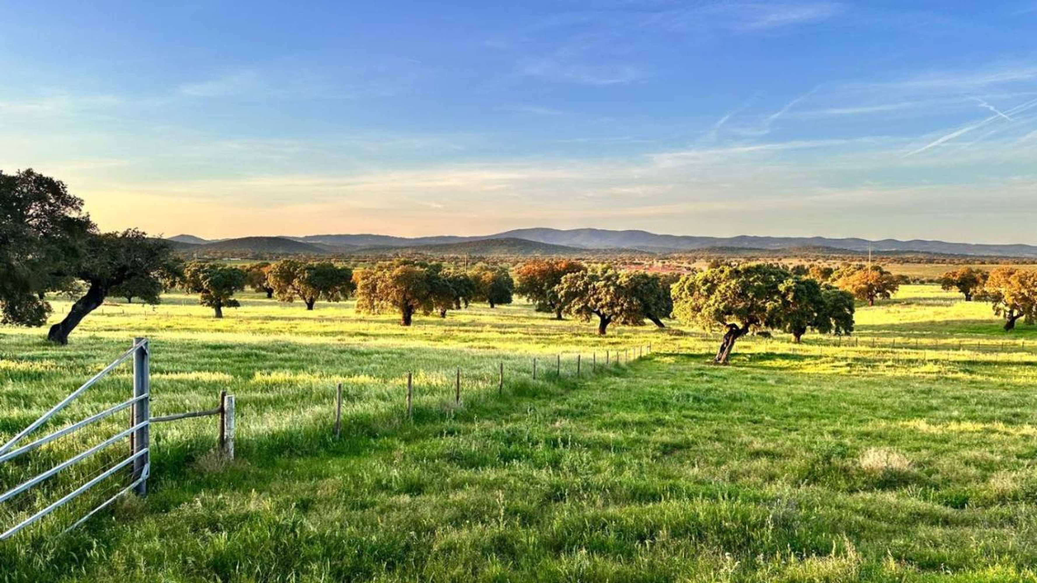 Gift card for Herdade da Carapuça