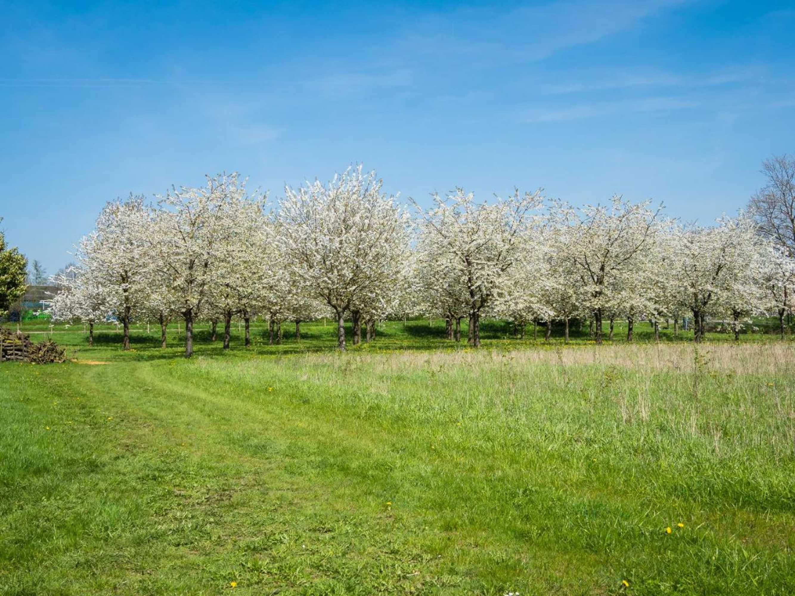 Gift card for De Oosterling