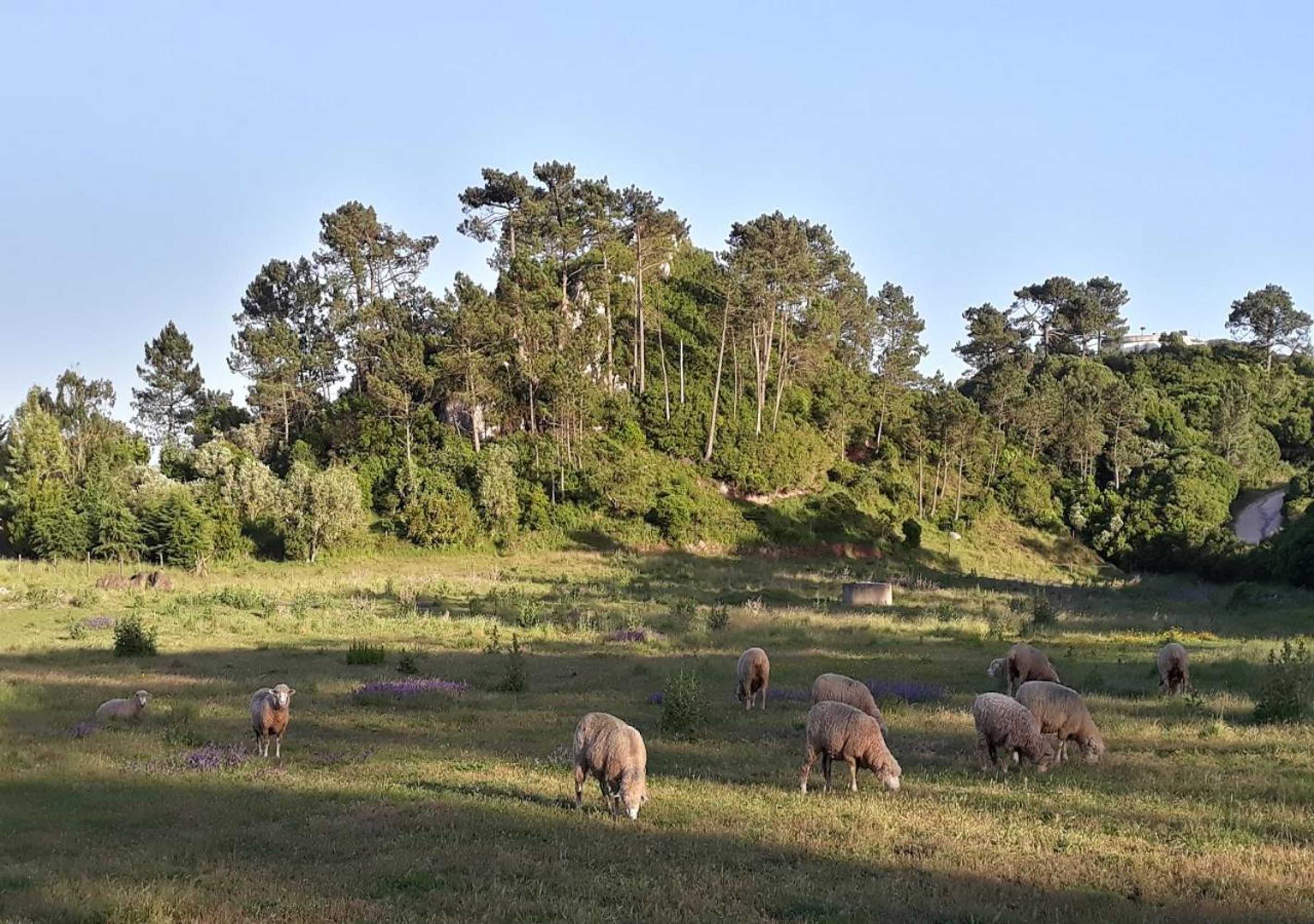 Gift card for Quinta Da Torre