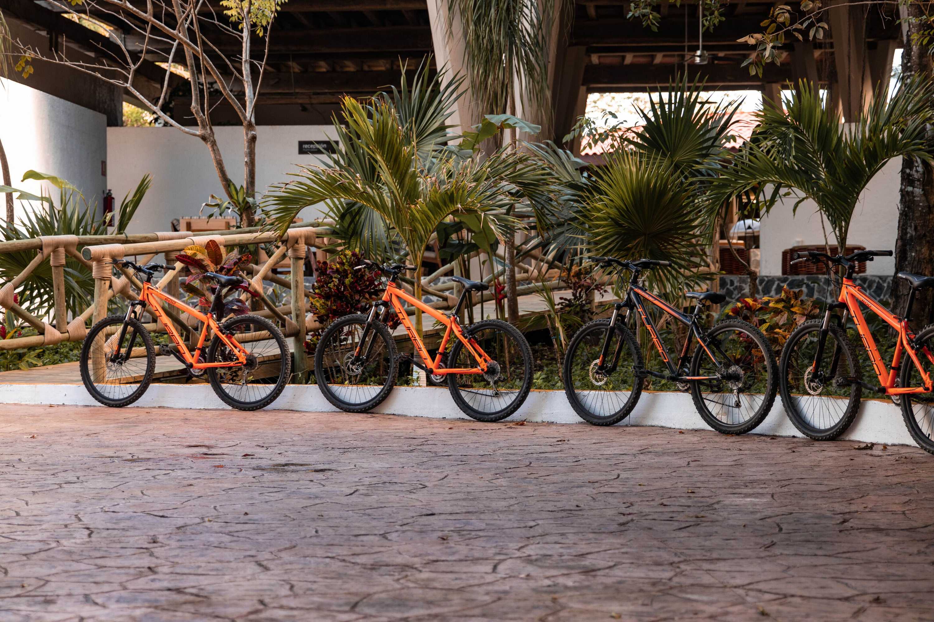 Gift card for The Explorean Cozumel - All Inclusive Gift card for The Explorean Cozumel - All Inclusive