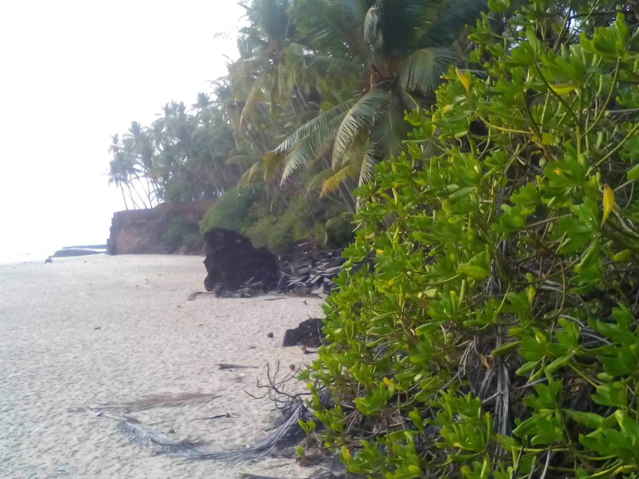 Gift card for Ivory Coaste