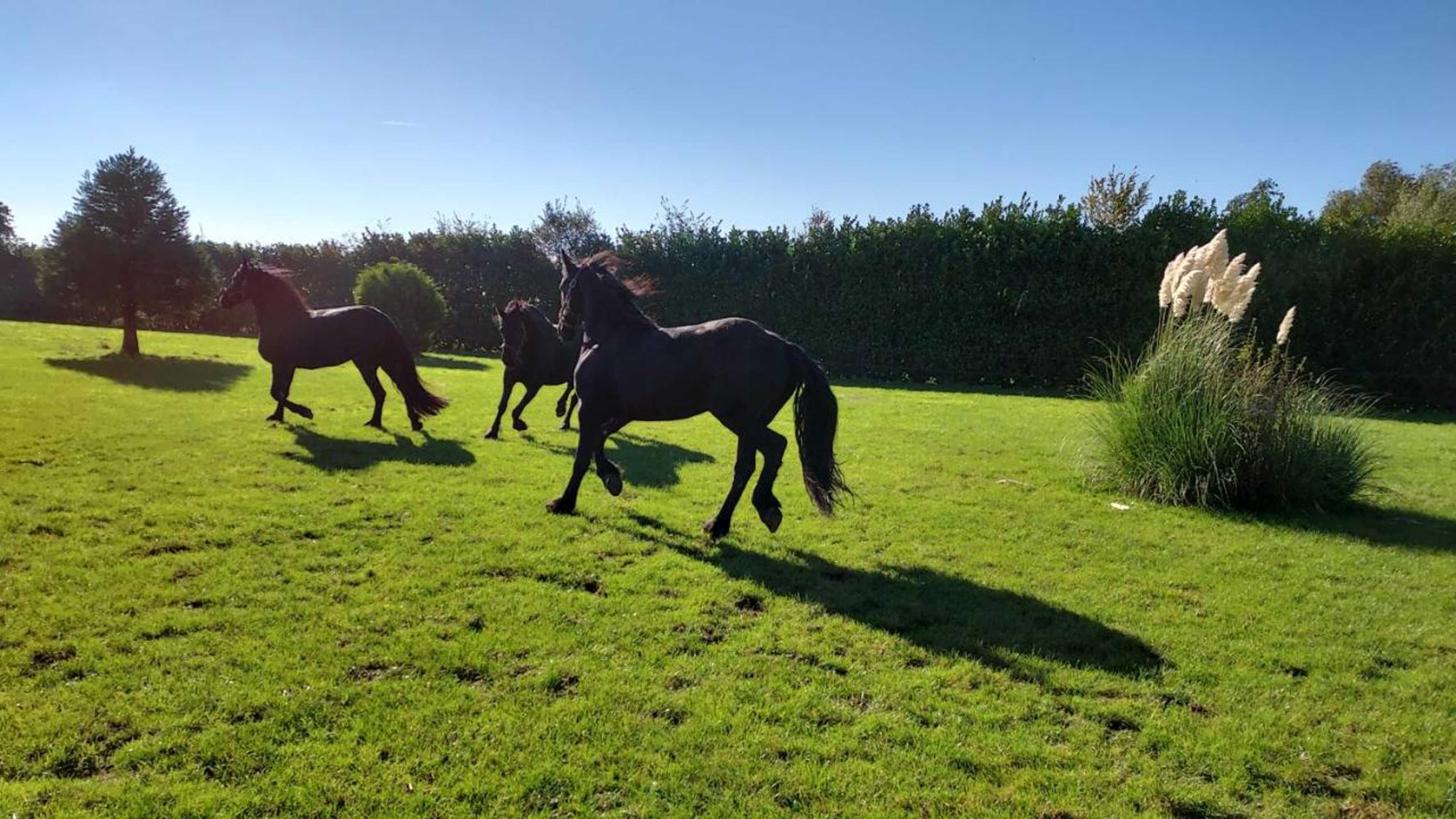 Gift card for Lodge 61