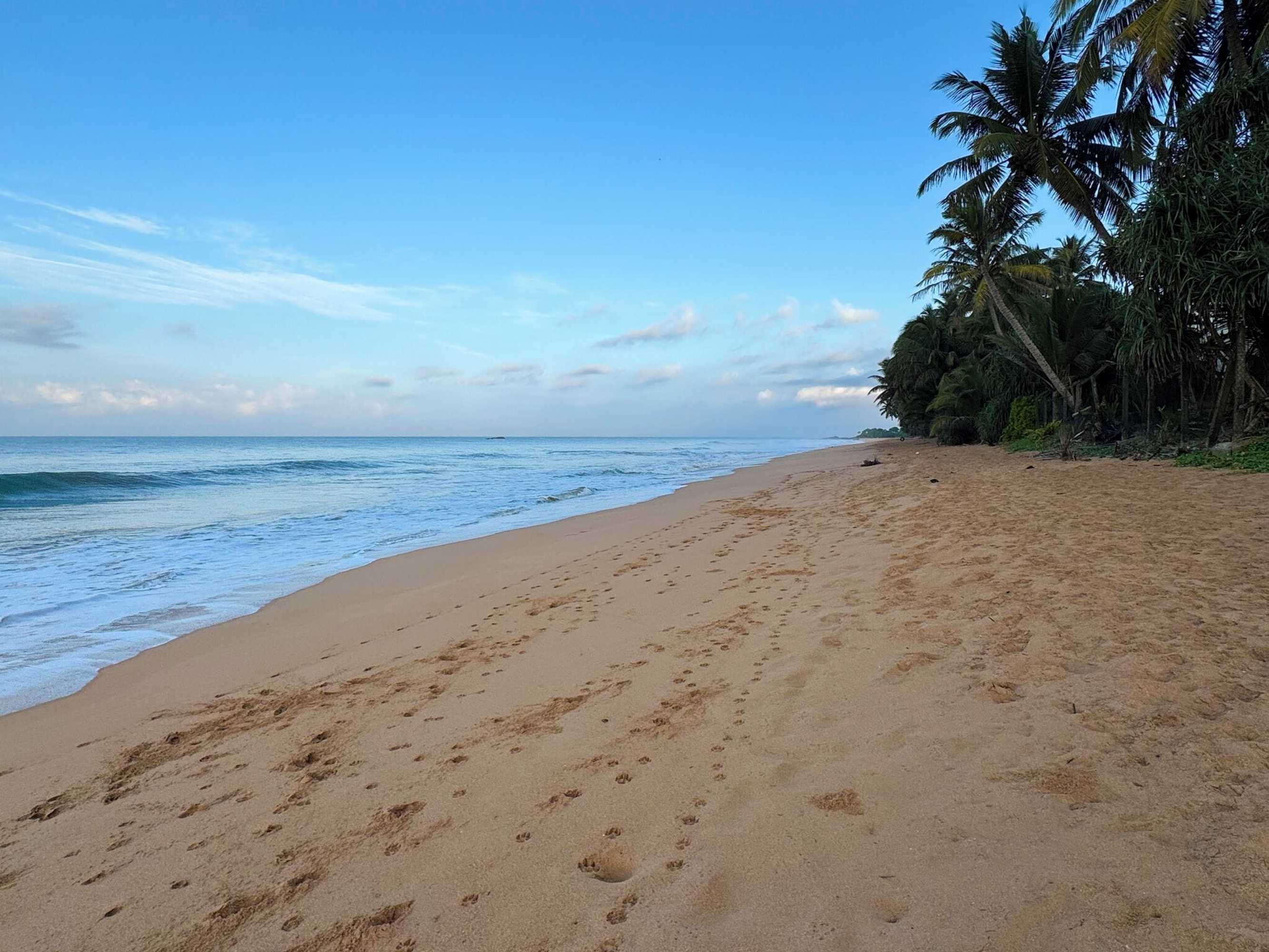 Gift card for Moi Induruwa by Dbi