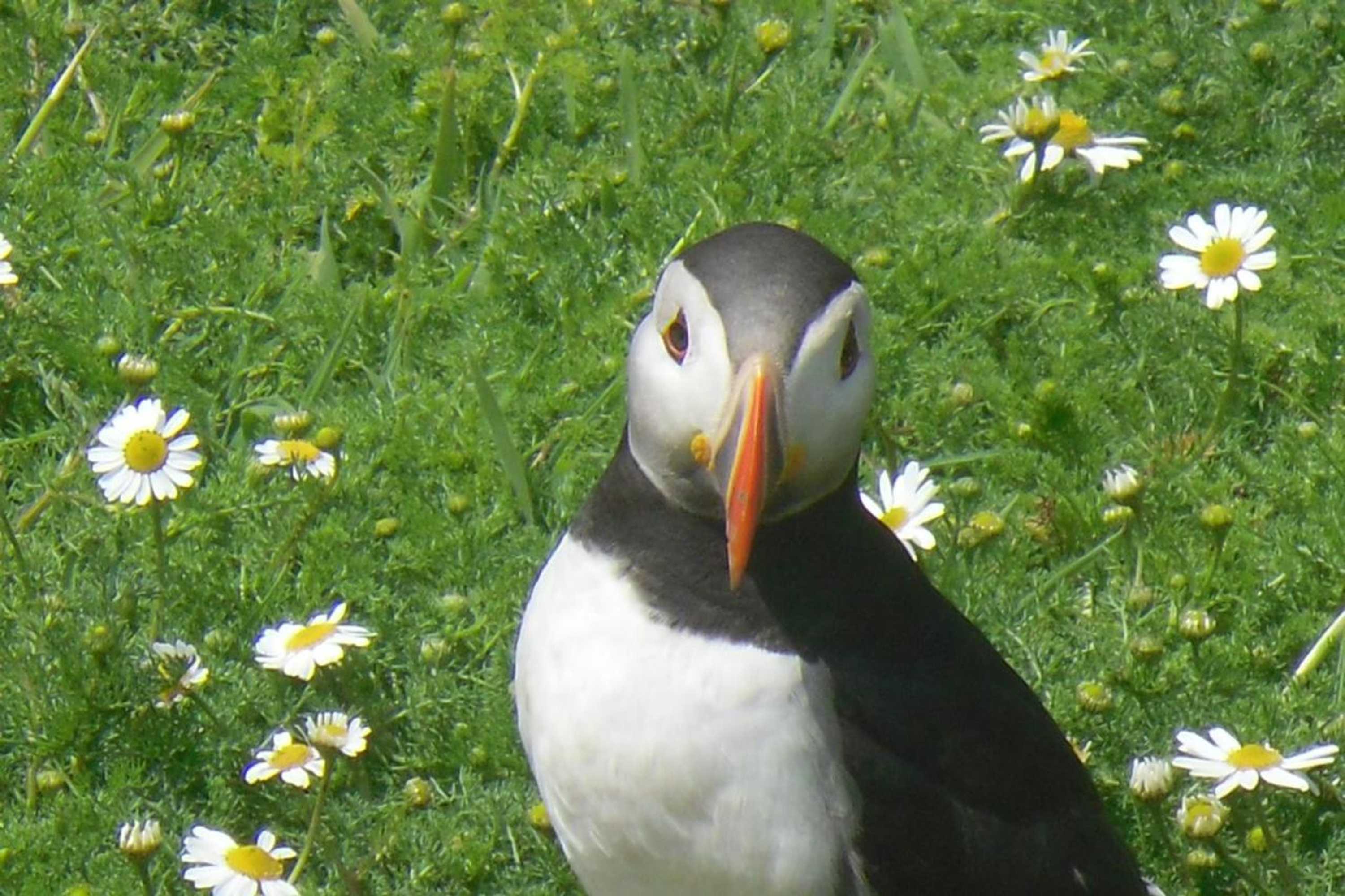 Gift card for Rectory Farm