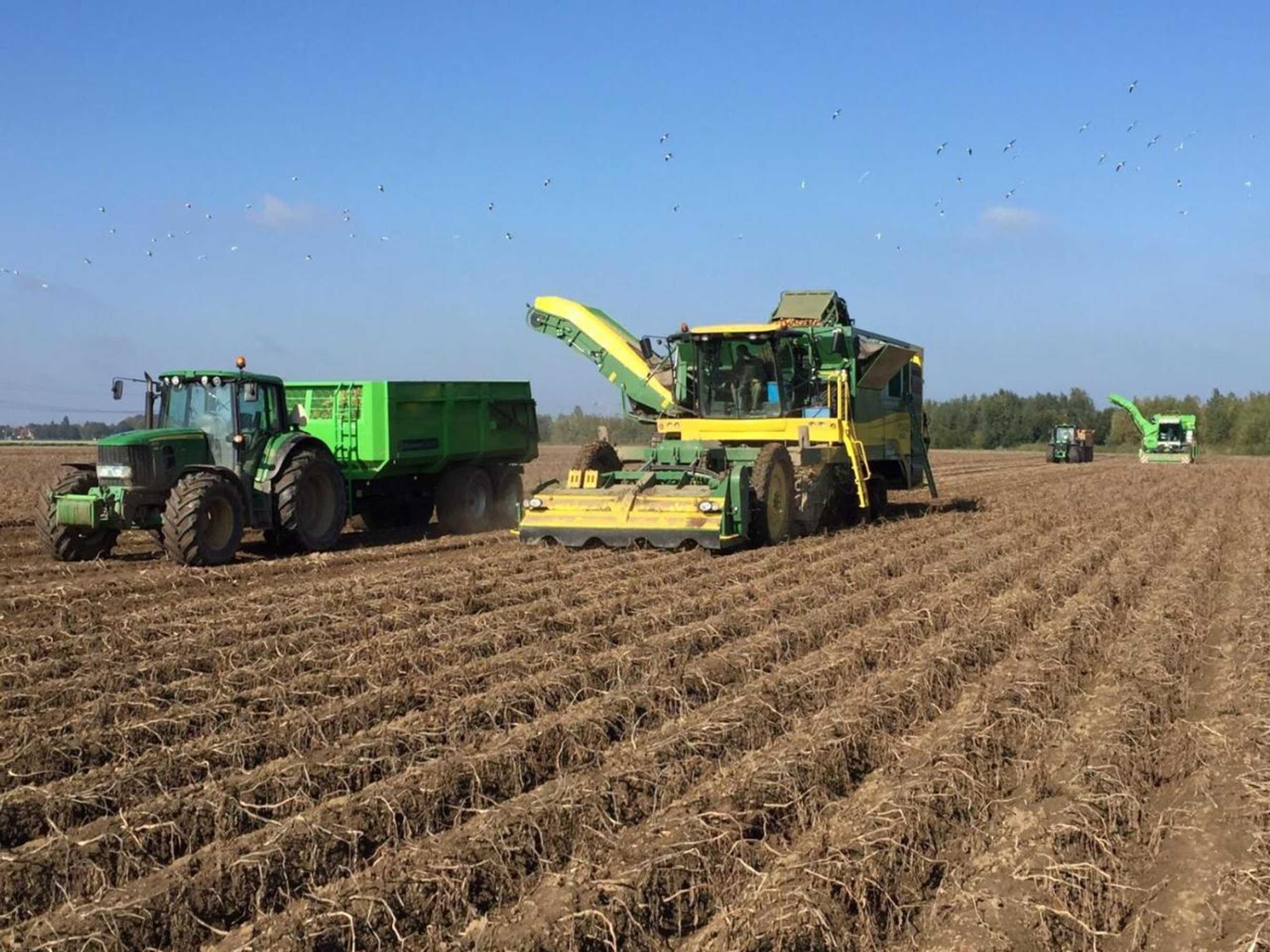 Gift card for B&b de Oude Hofstee