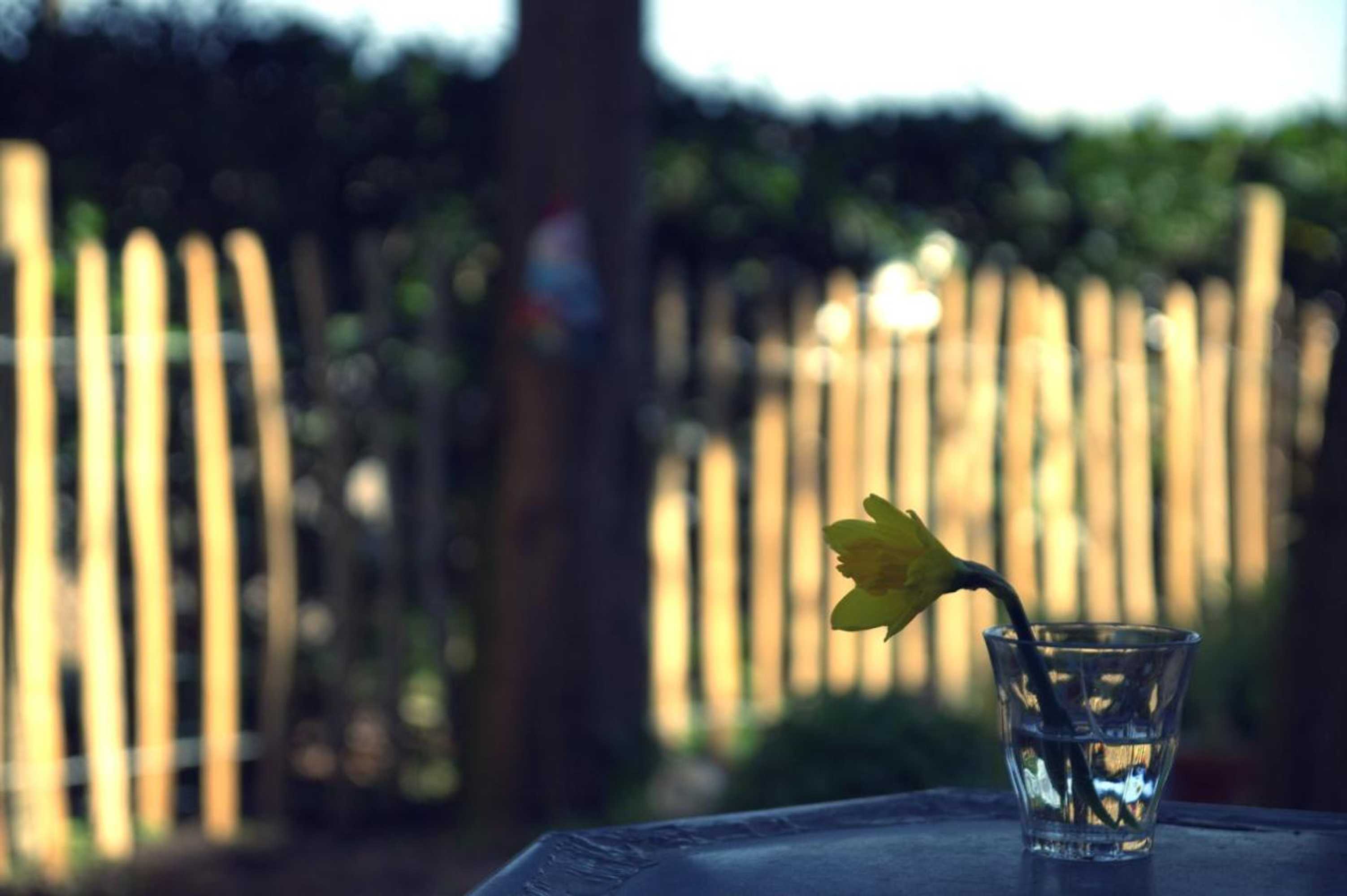 Gift card for B&b Van Beijden