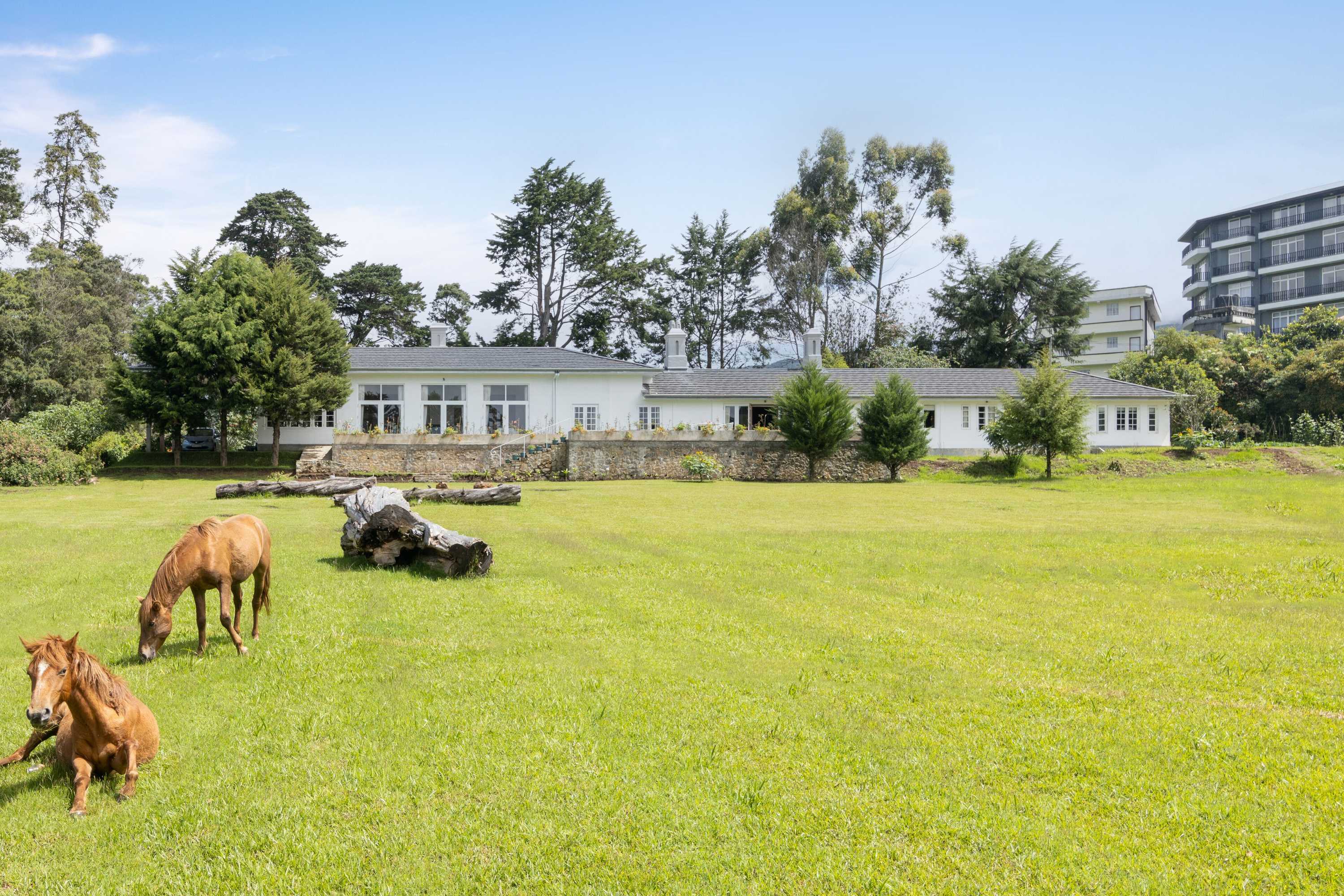 Gift card for Jetwing Broomfield Bungalow