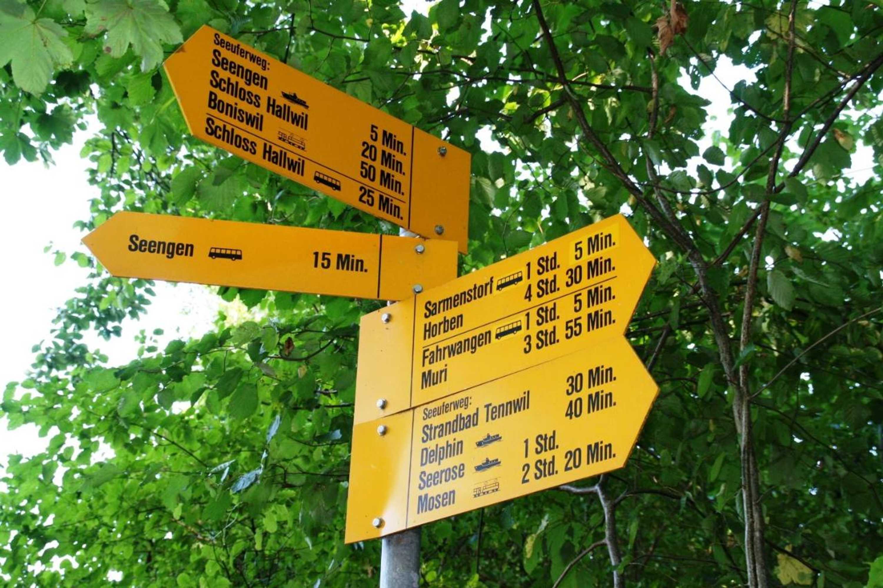 Gift card for Seehotel Delphin