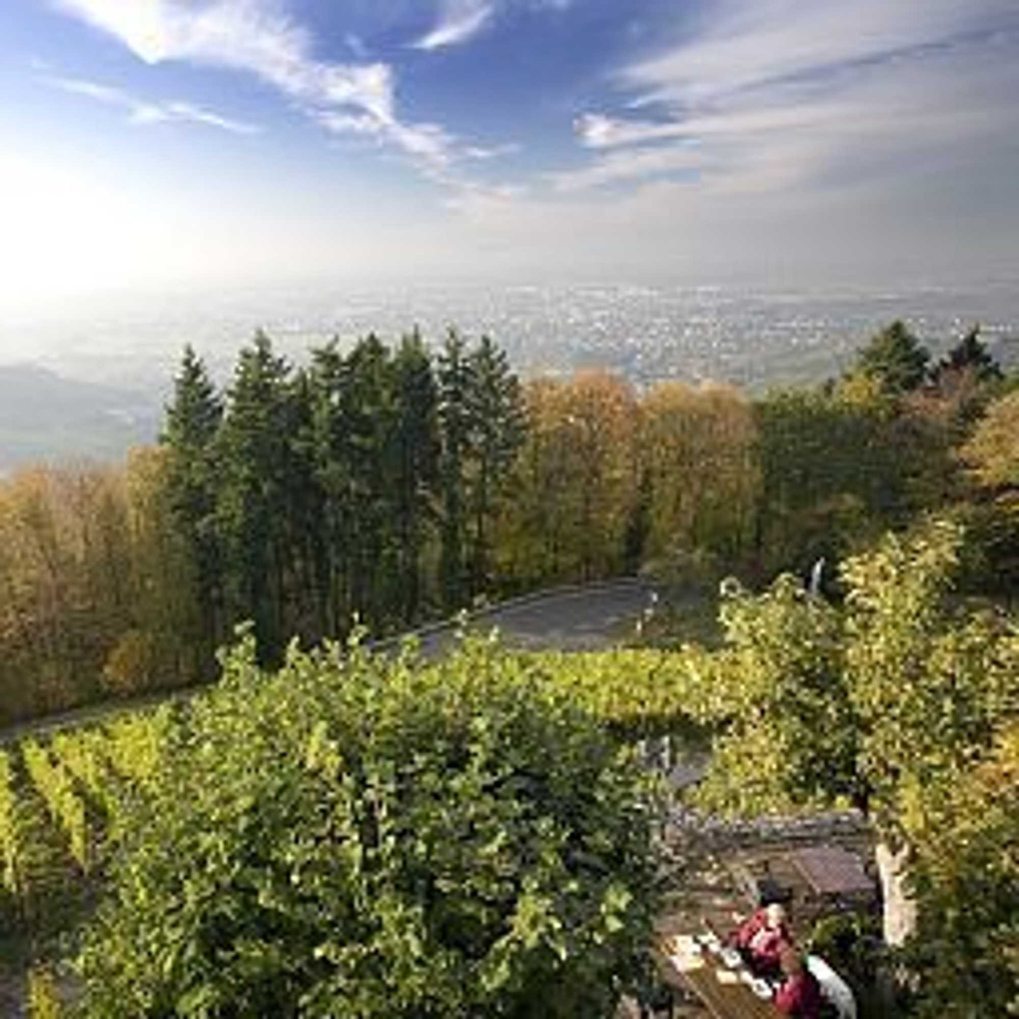 Gift card for Burg Windeck ***s Gift card for Burg Windeck ***s