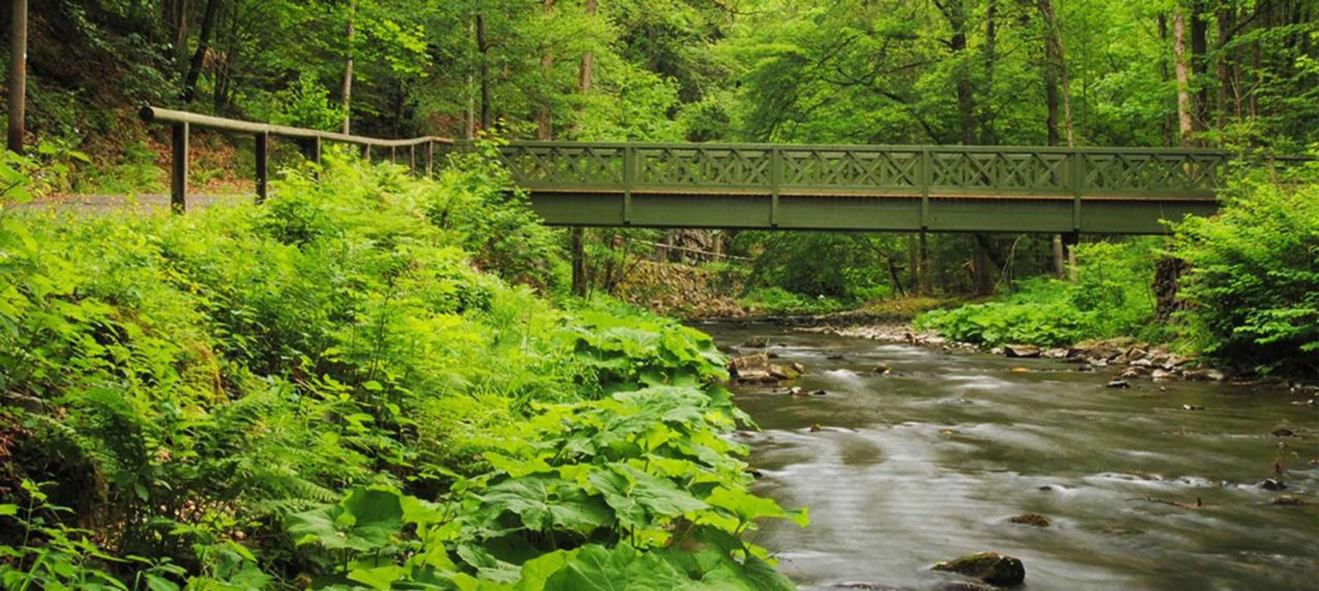 Gift card for Hotel Haus Bauer