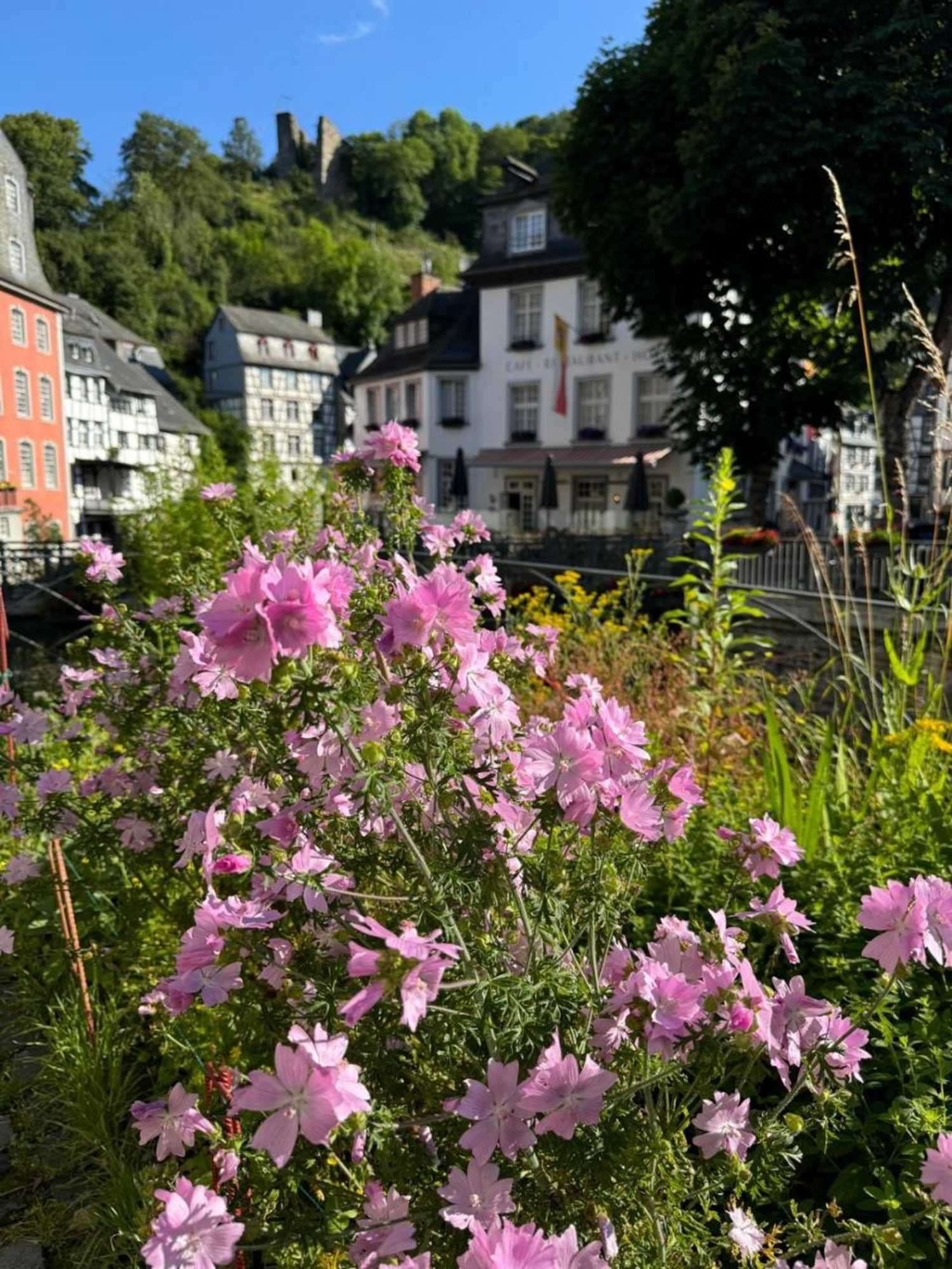 Gift card for Fewo in Monschau