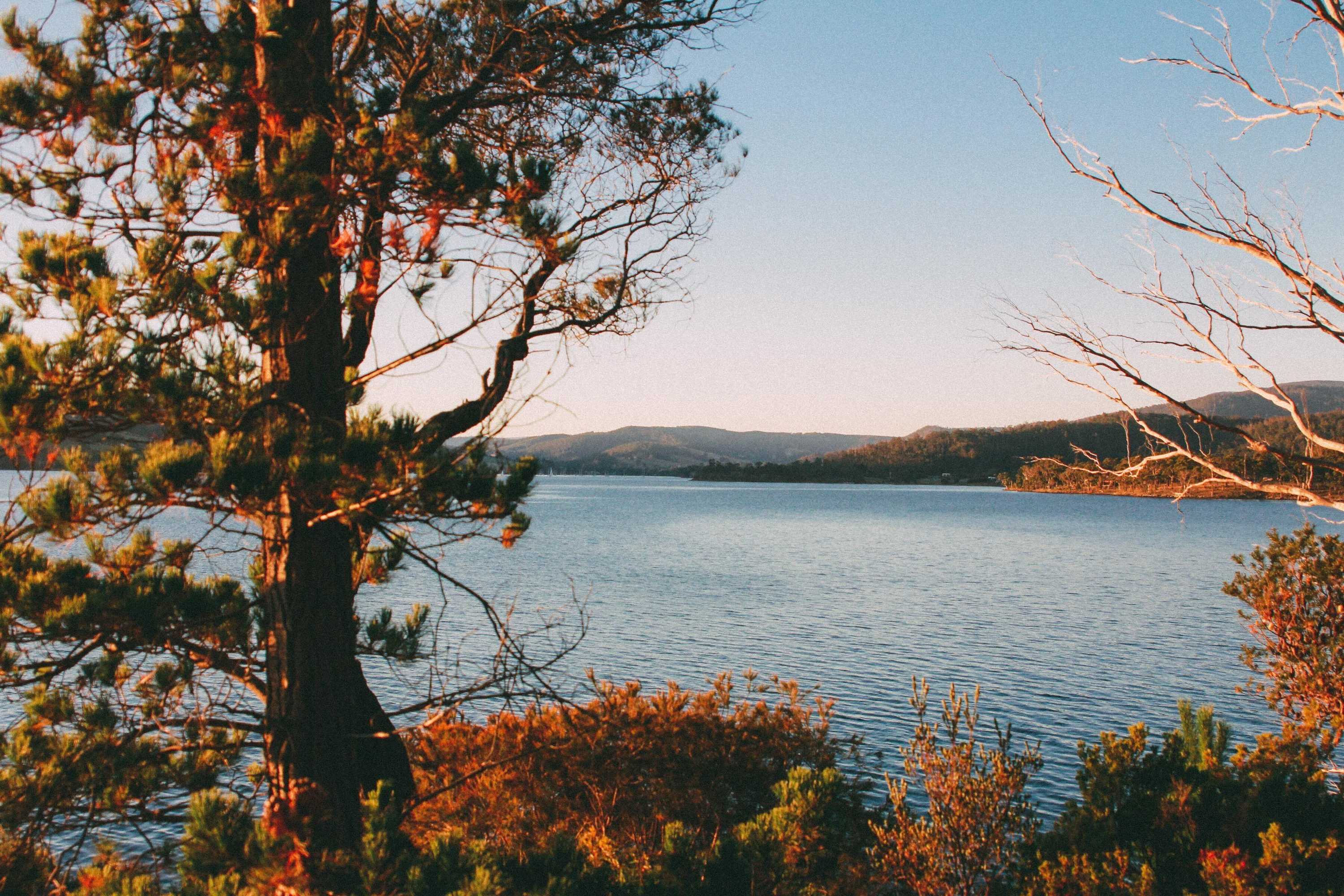 Gift card for Tranquil Point