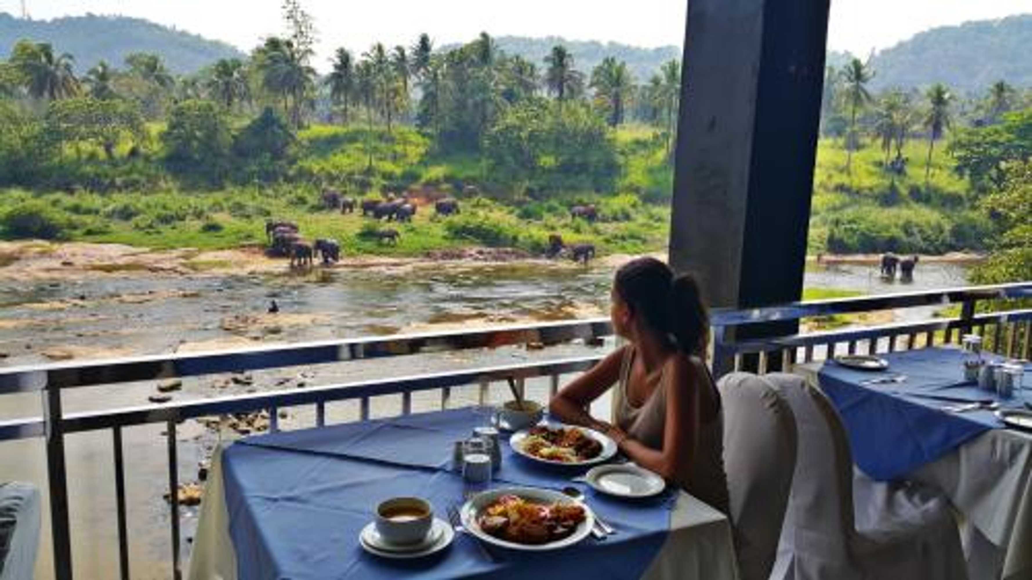 Gift card for Hotel Elephant Park - New Deal! Half Off Airport Pickups Available Gift card for Hotel Elephant Park - New Deal! Half Off Airport Pickups Available