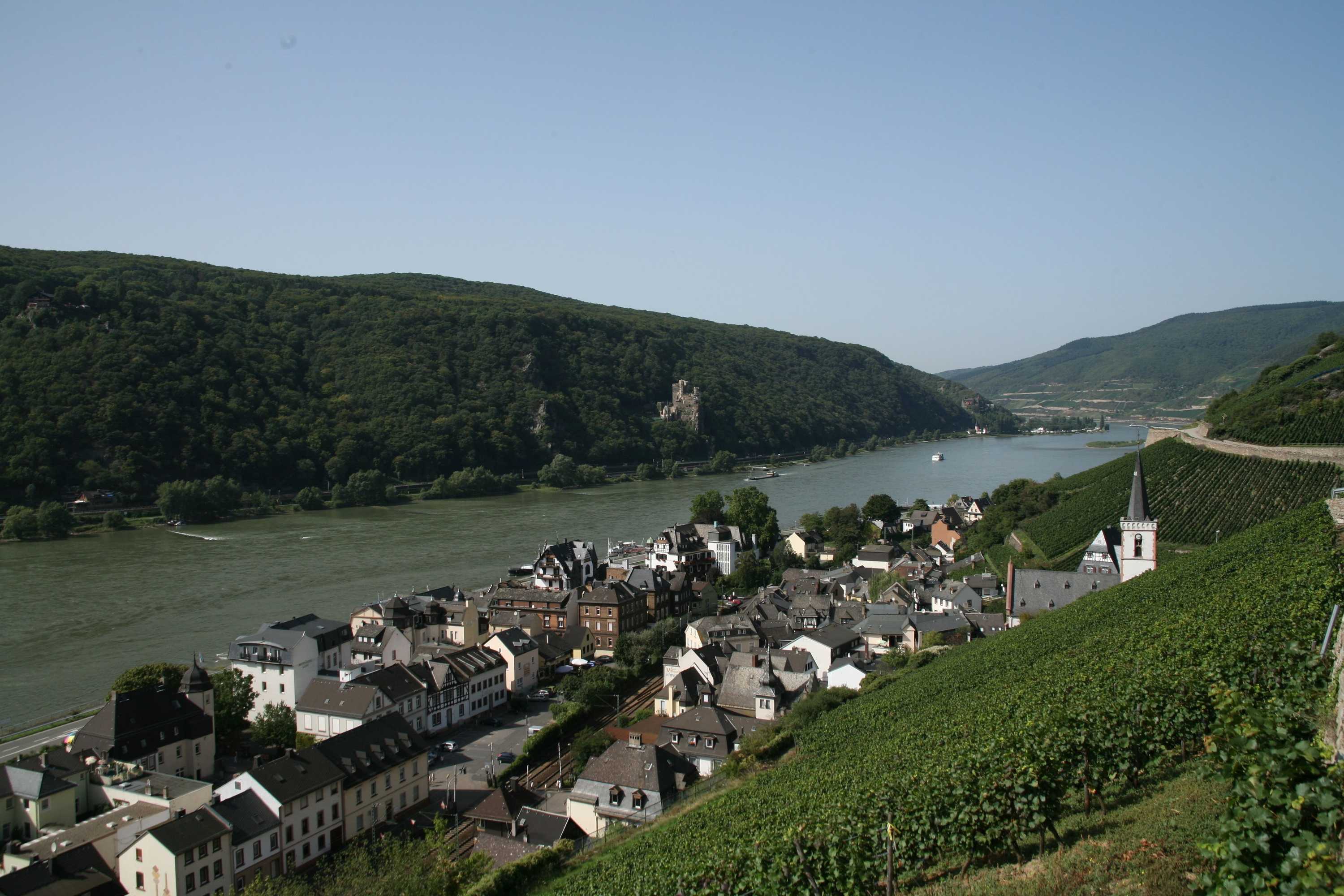 Gift card for Rheinhotel Lamm