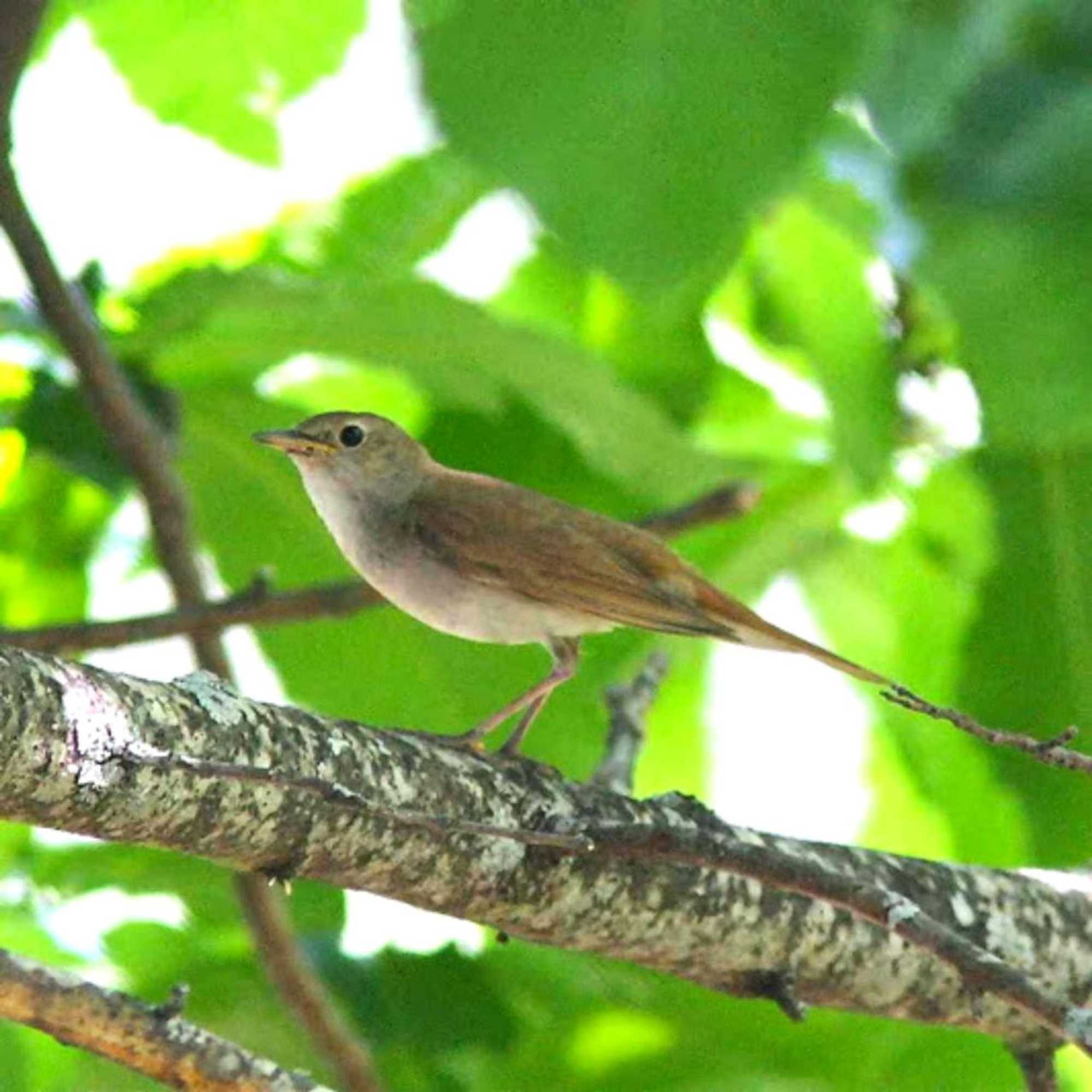 Gift card for Quinta Do Marvao