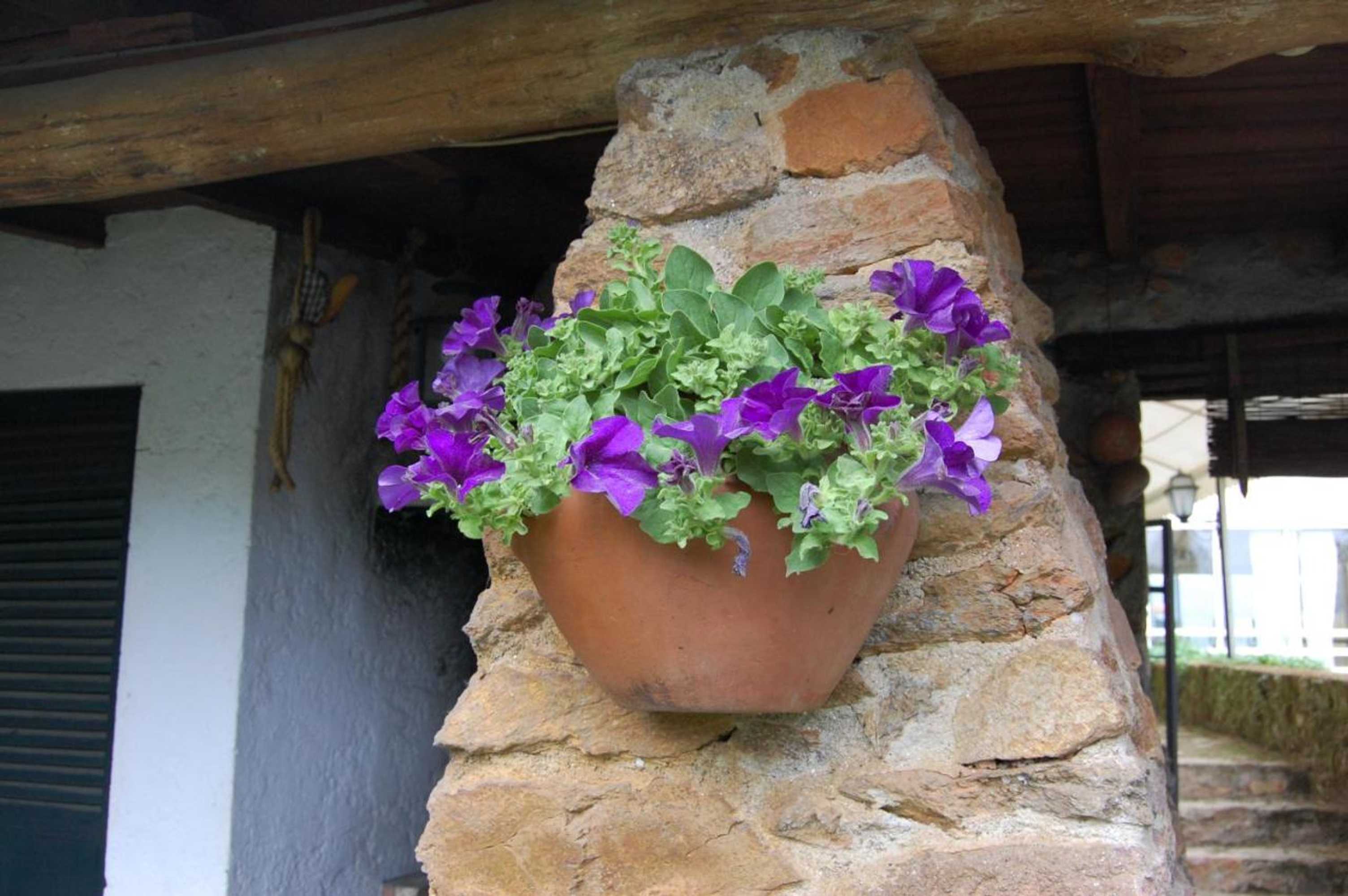 Gift card for Casa da Quinta De S. Martinho Gift card for Casa da Quinta De S. Martinho