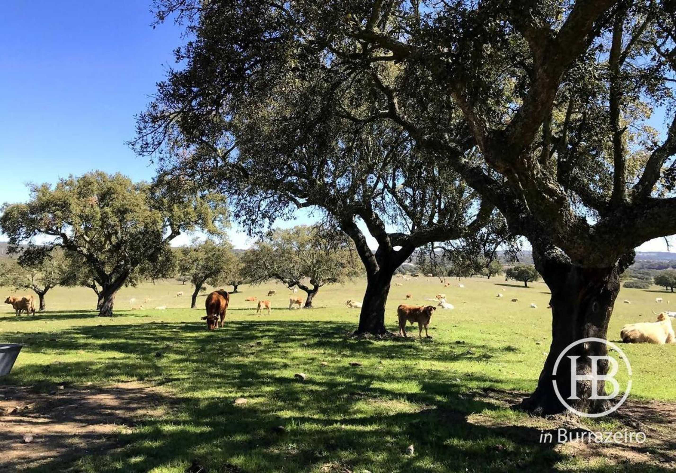 Gift card for Herdade do Burrazeiro Turismo Rural no Alentejo