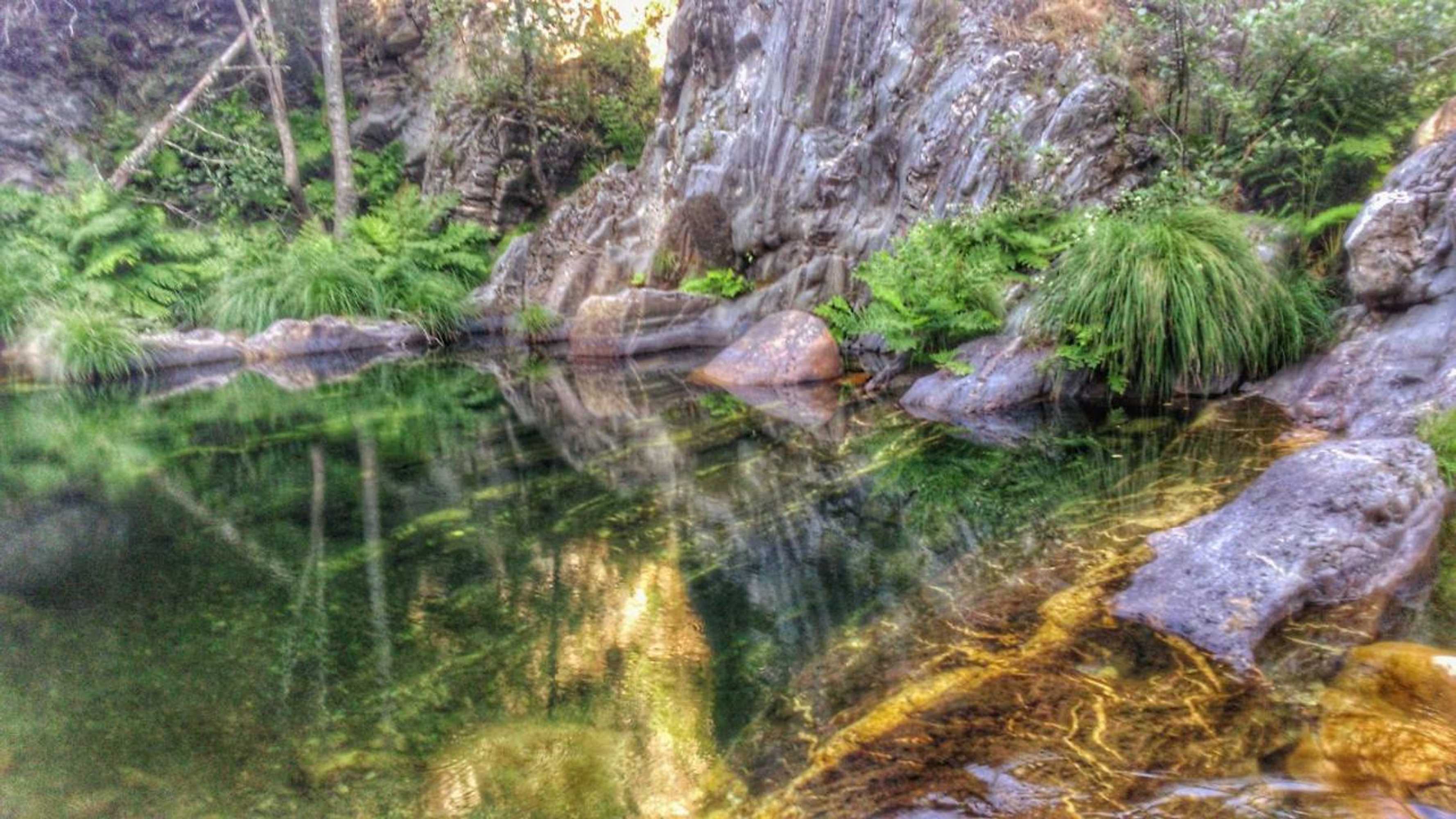 Gift card for Inxisto Lodges