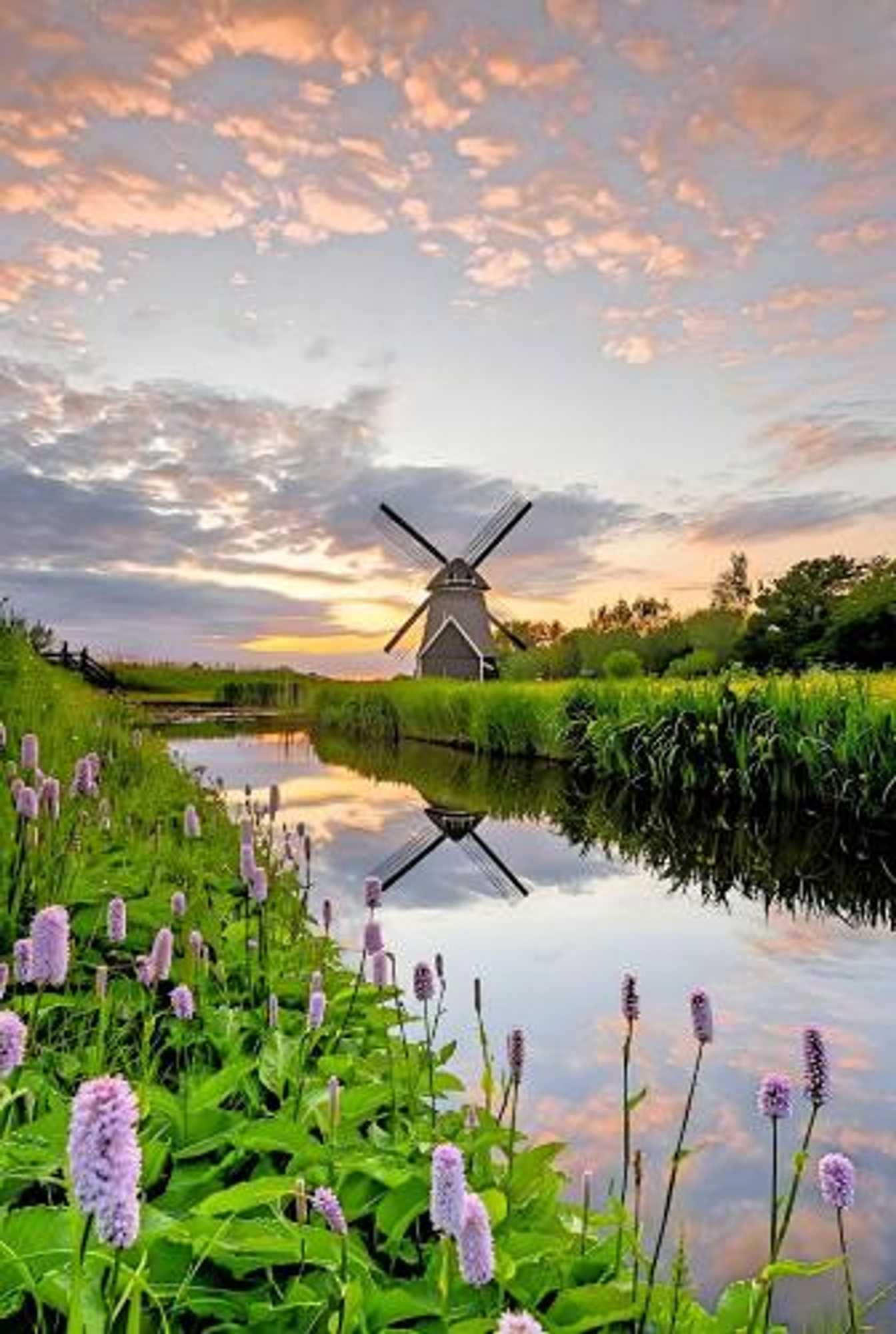 Gift card for Bed & Breakfast Prins Hendrik (zuidschermer) Gift card for Bed & Breakfast Prins Hendrik (zuidschermer)