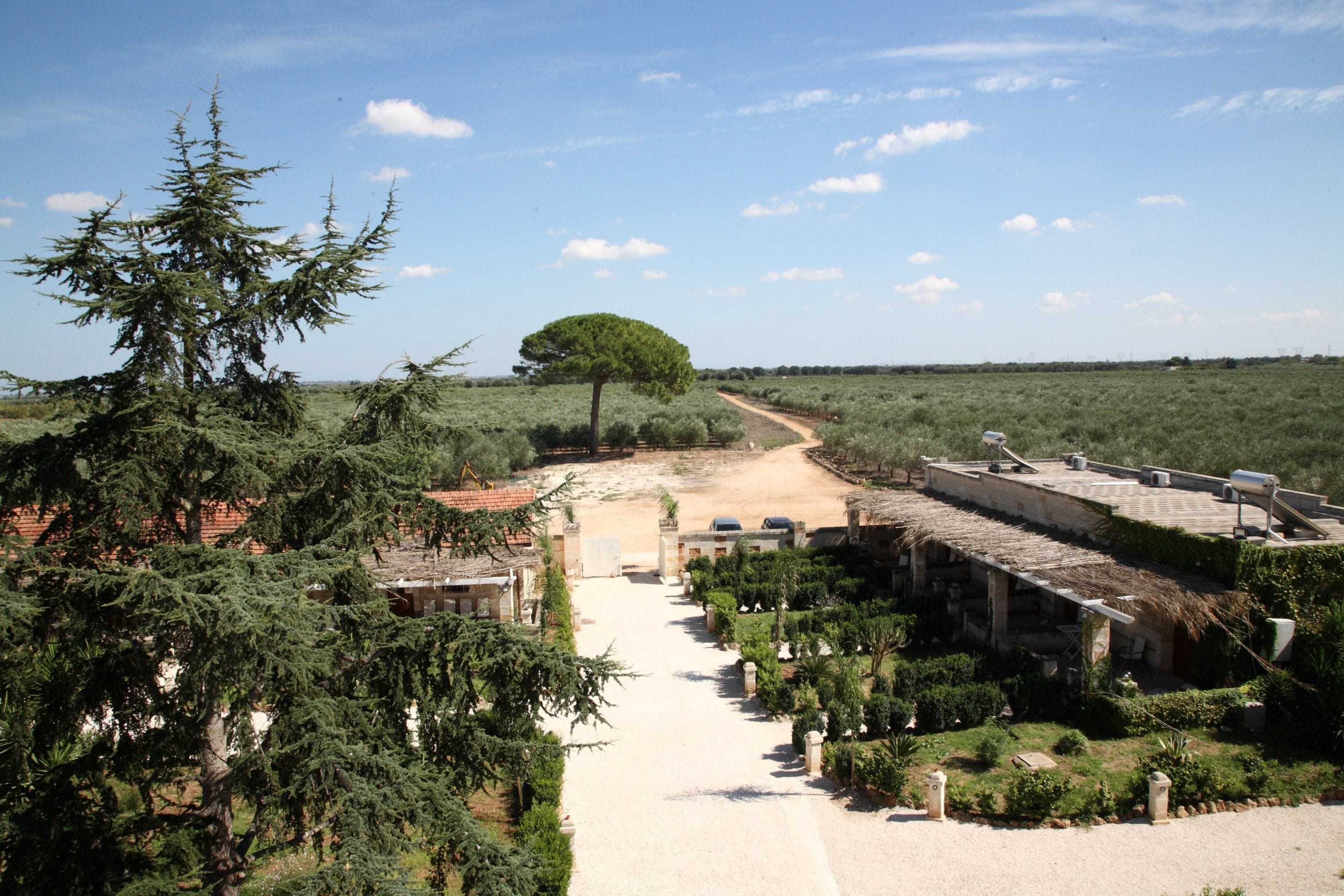 Gift card for Agriturismo Tenuta Mazzetta Gift card for Agriturismo Tenuta Mazzetta
