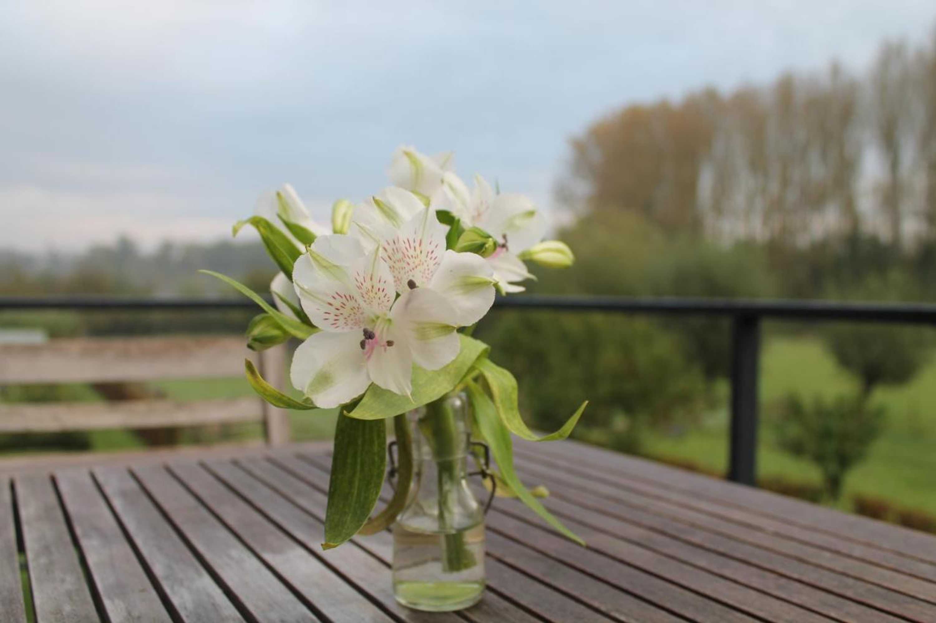 Gift card for B&b Hier en Nu