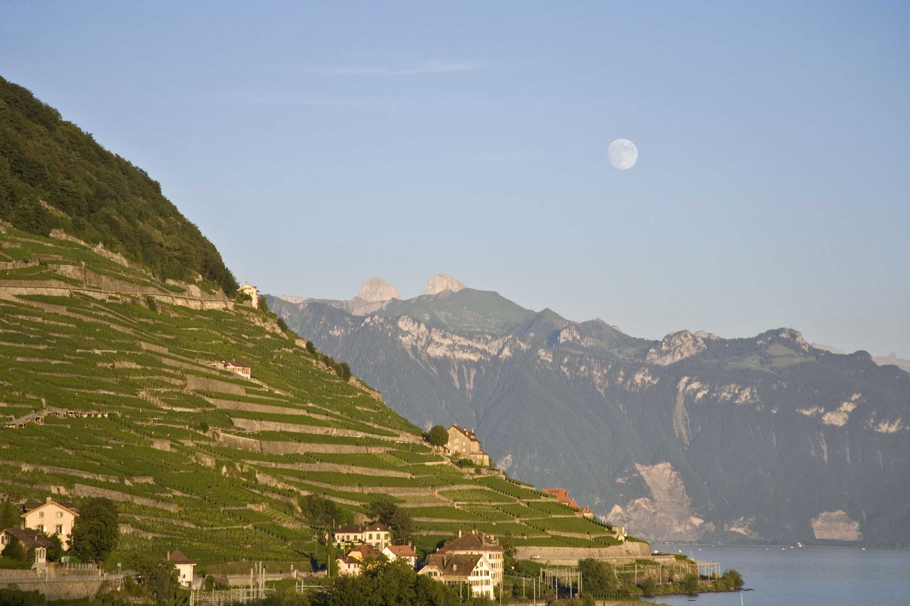 Gift card for Hotel Lavaux Gift card for Hotel Lavaux