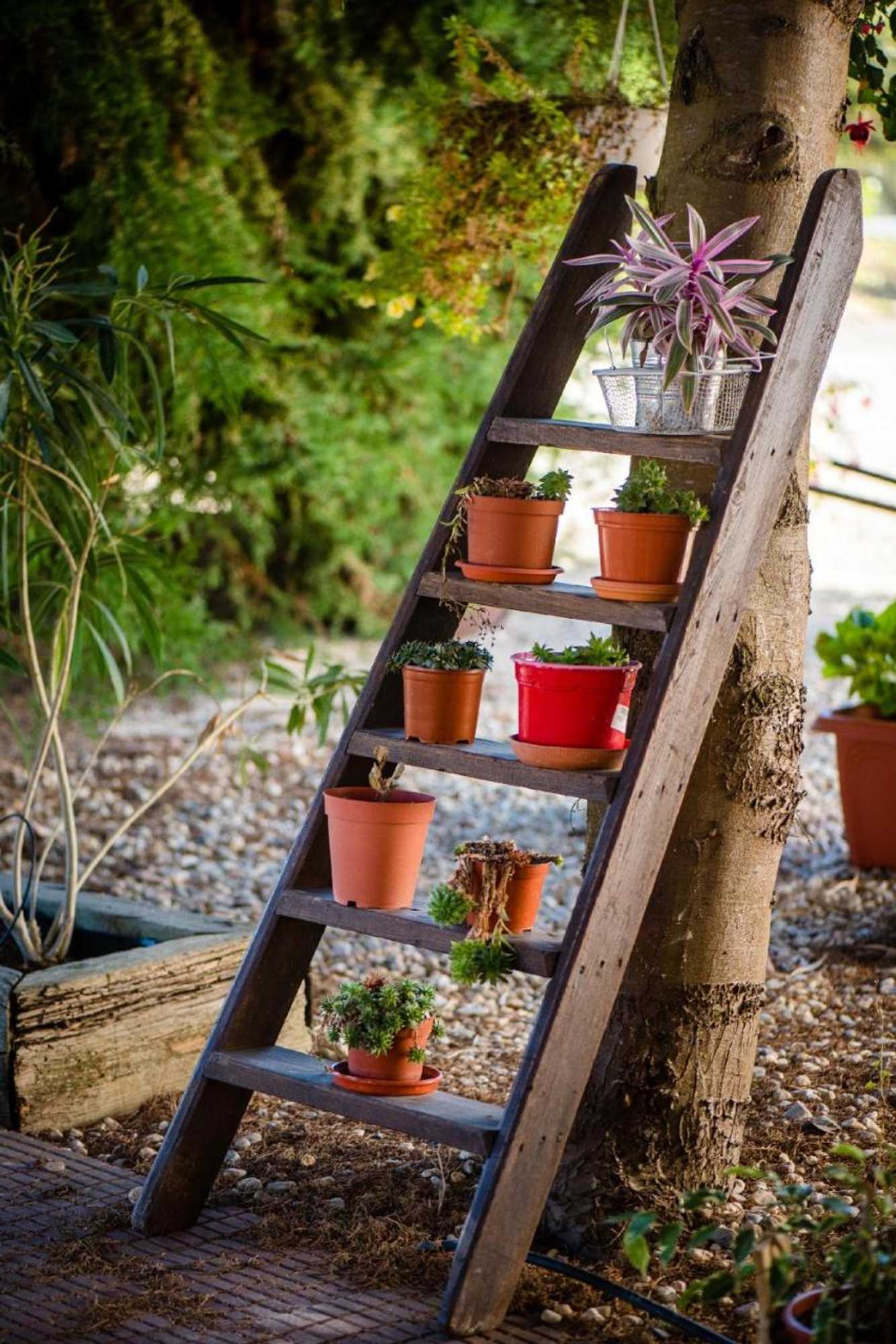 Gift card for Vale do Grou Natura