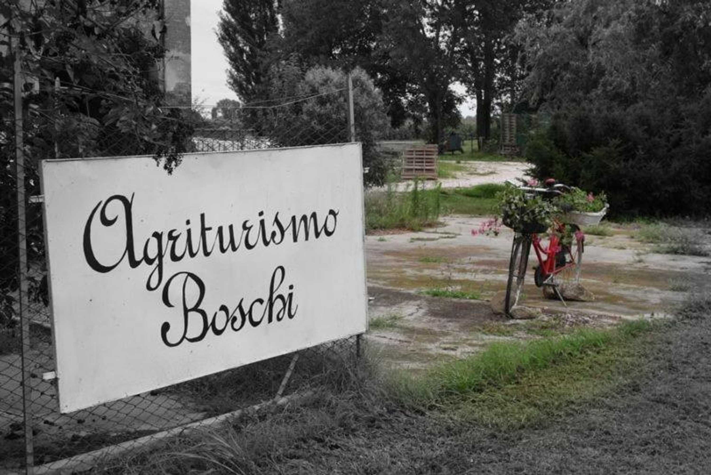 Gift card for Agriturismo Boschi