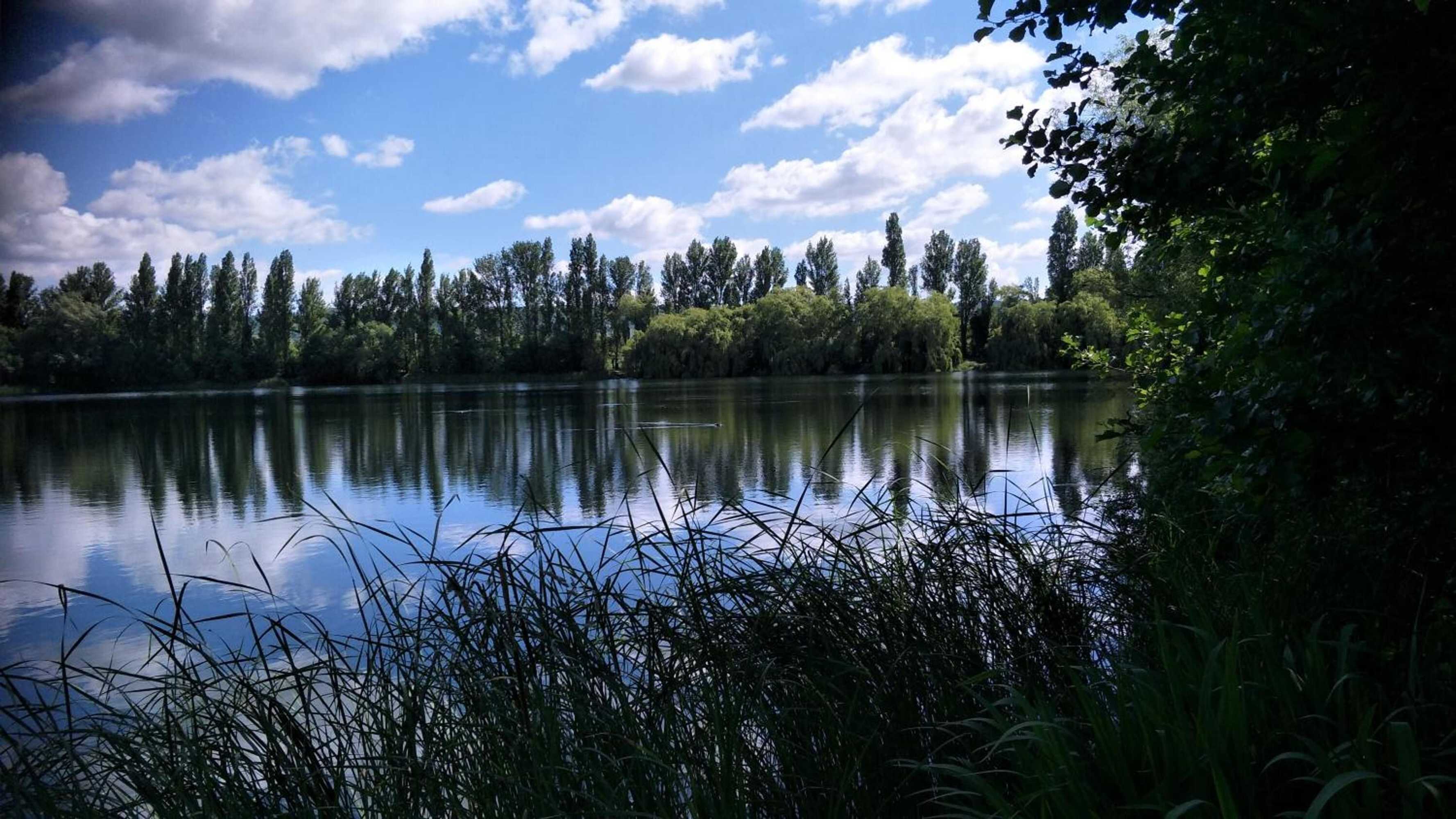 Gift card for Mallard Cottage