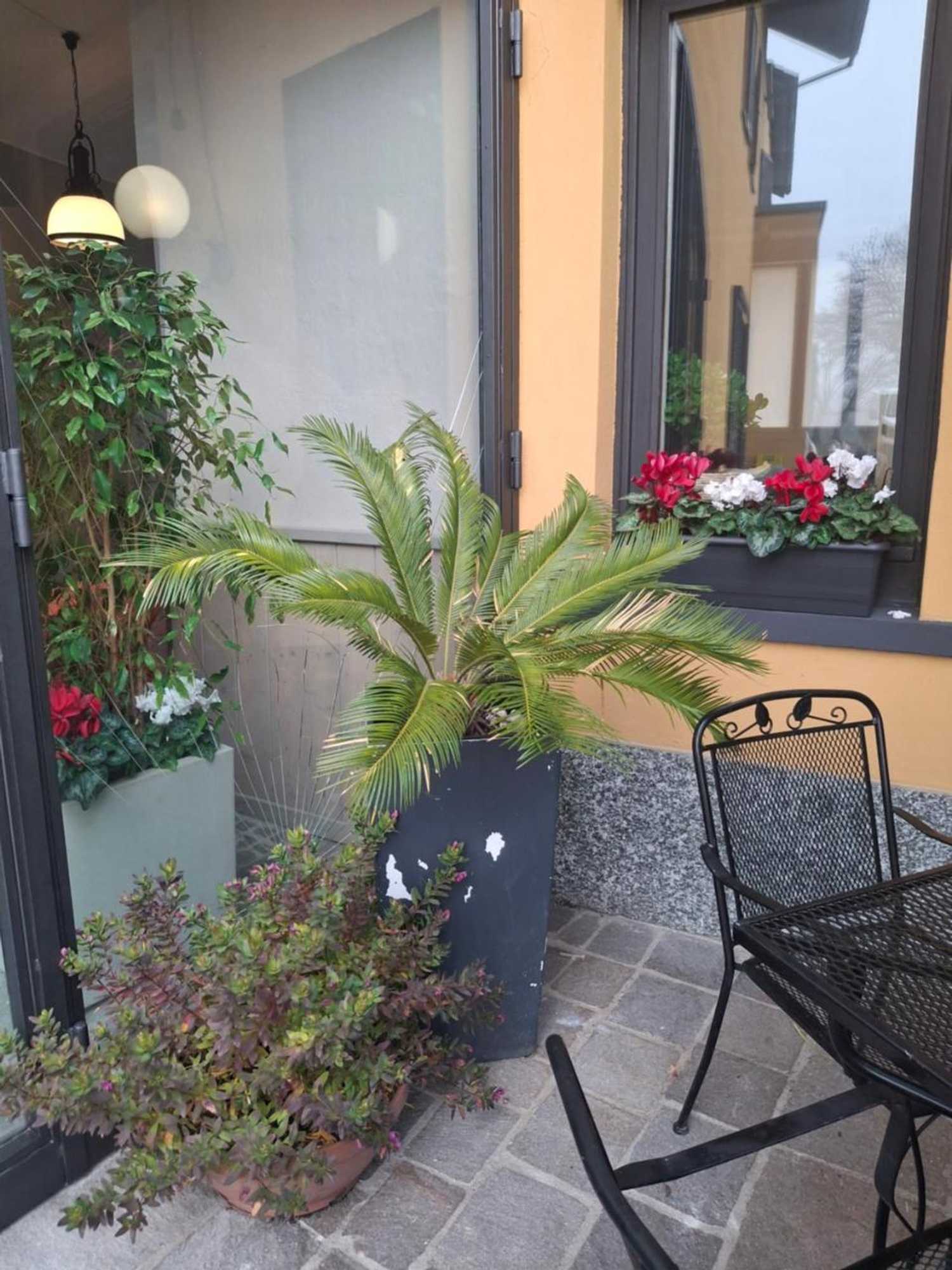 Gift card for Hotel Agnello