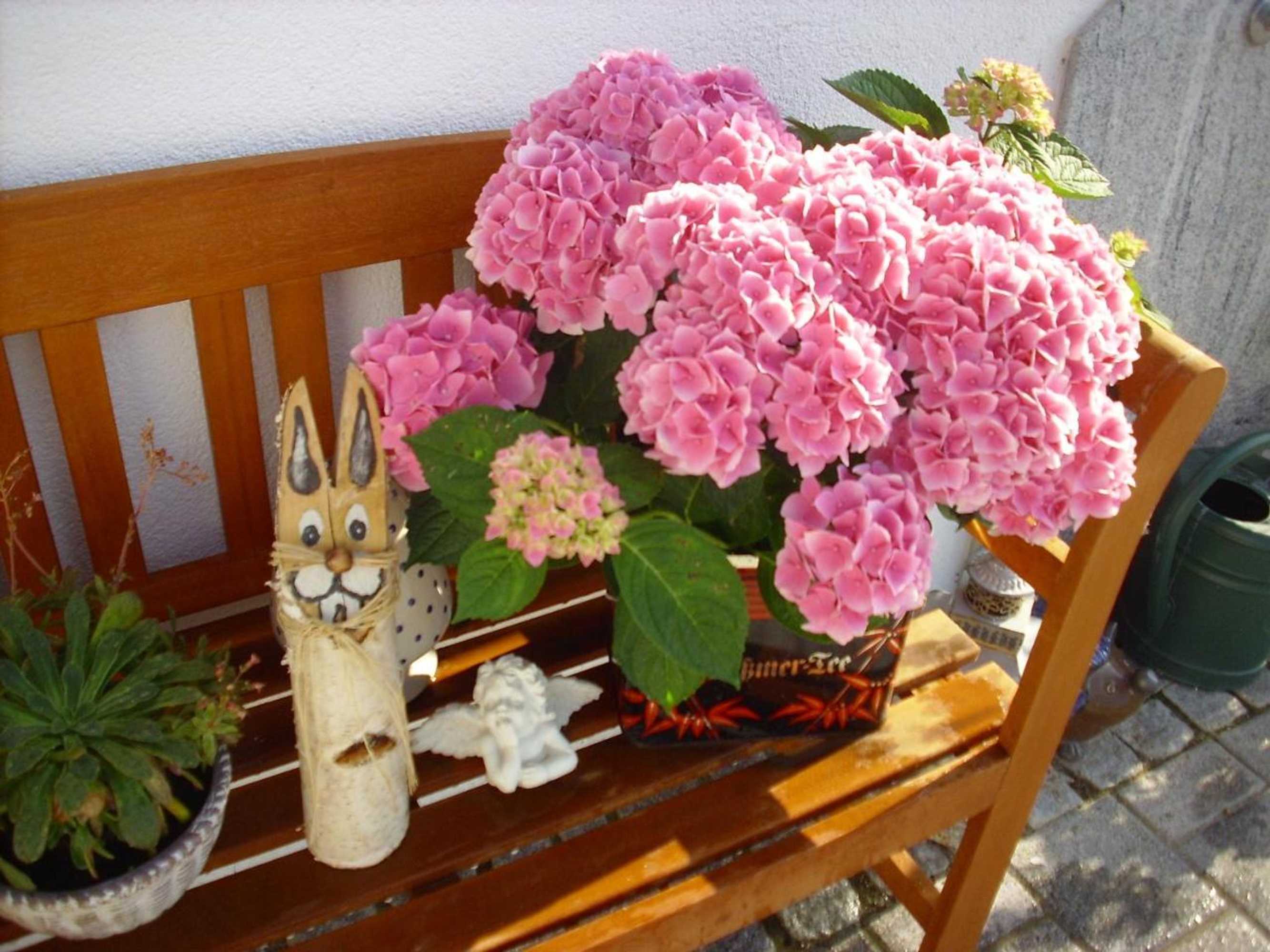 Gift card for Ferienwohnung Maria Waldblick 95 Qm- 2 Schlafzimmer Mit Balkon