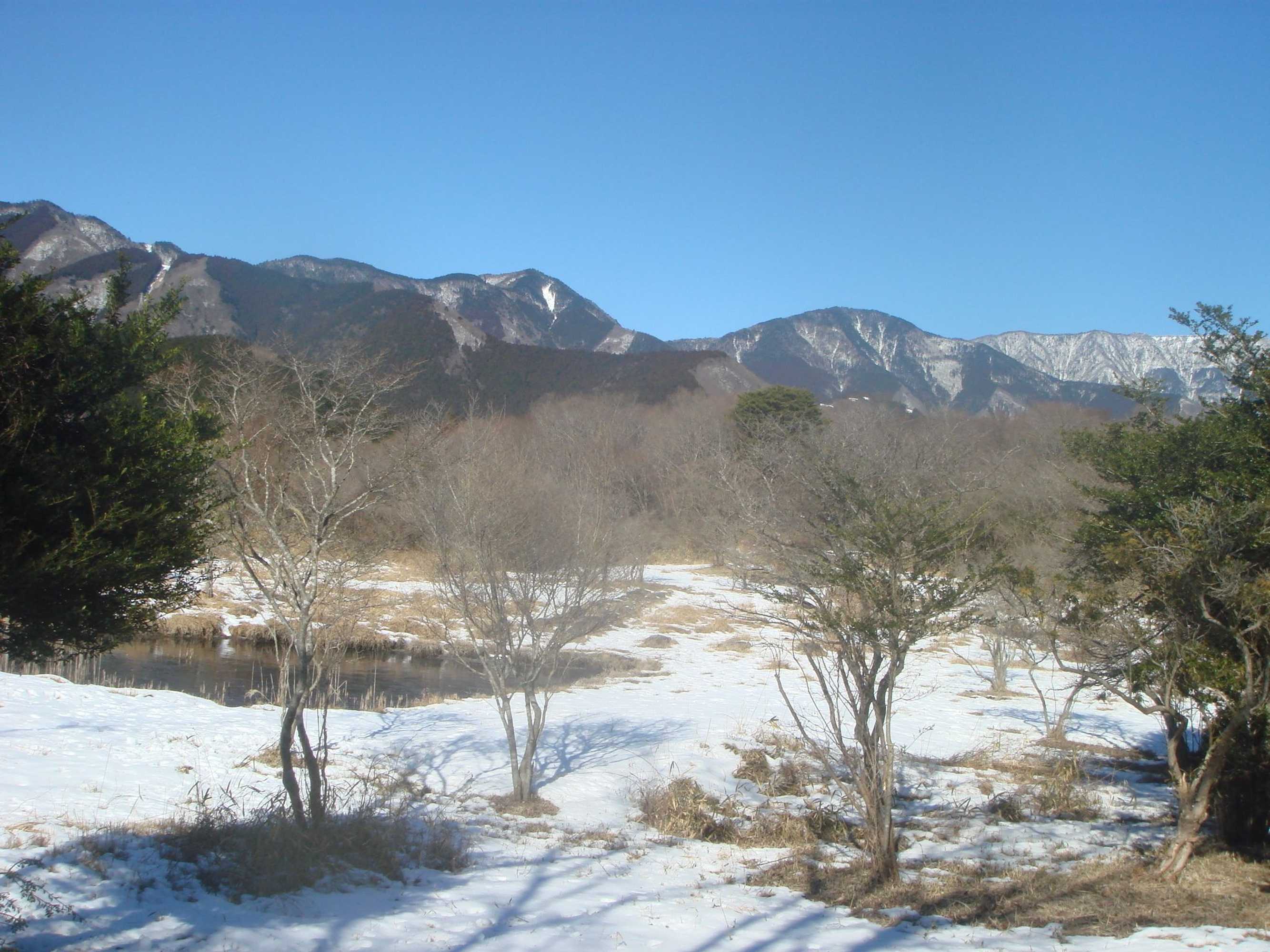 Gift card for Sun & Moon Club