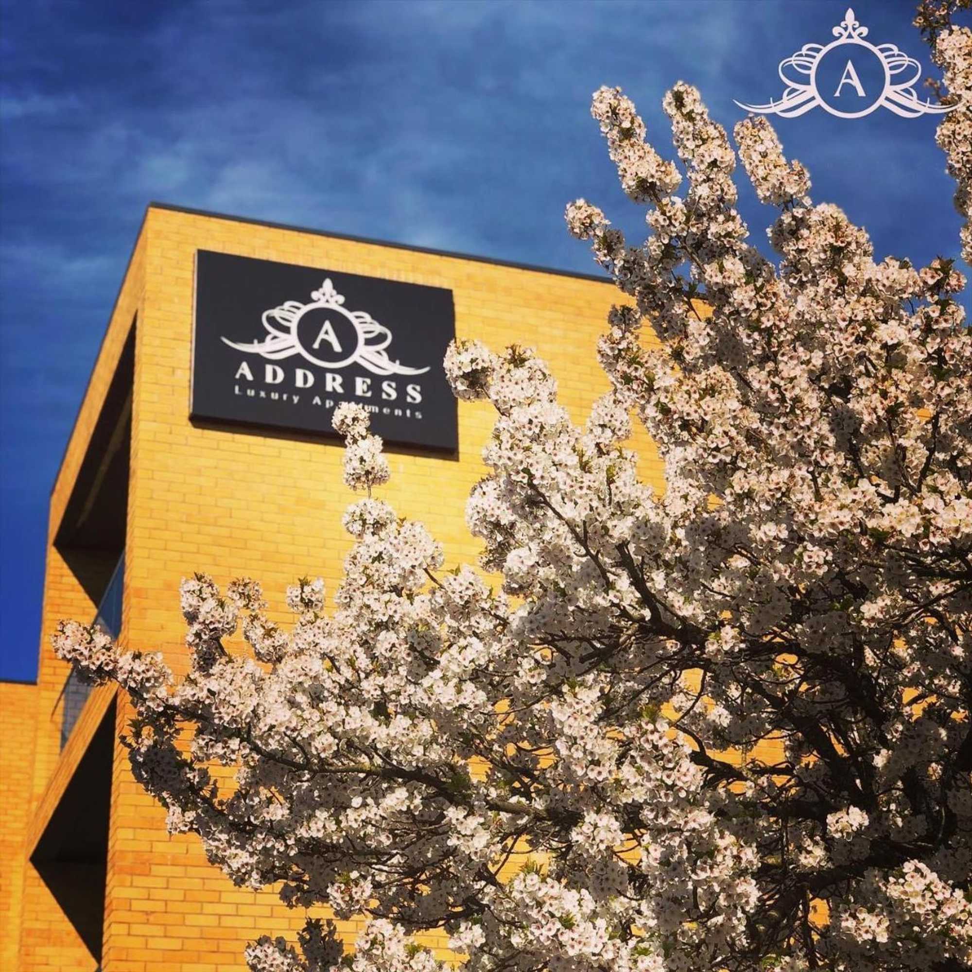 Gift card for Comfort in Gillingham - Your Perfect Stay Awaits - Apartment 1