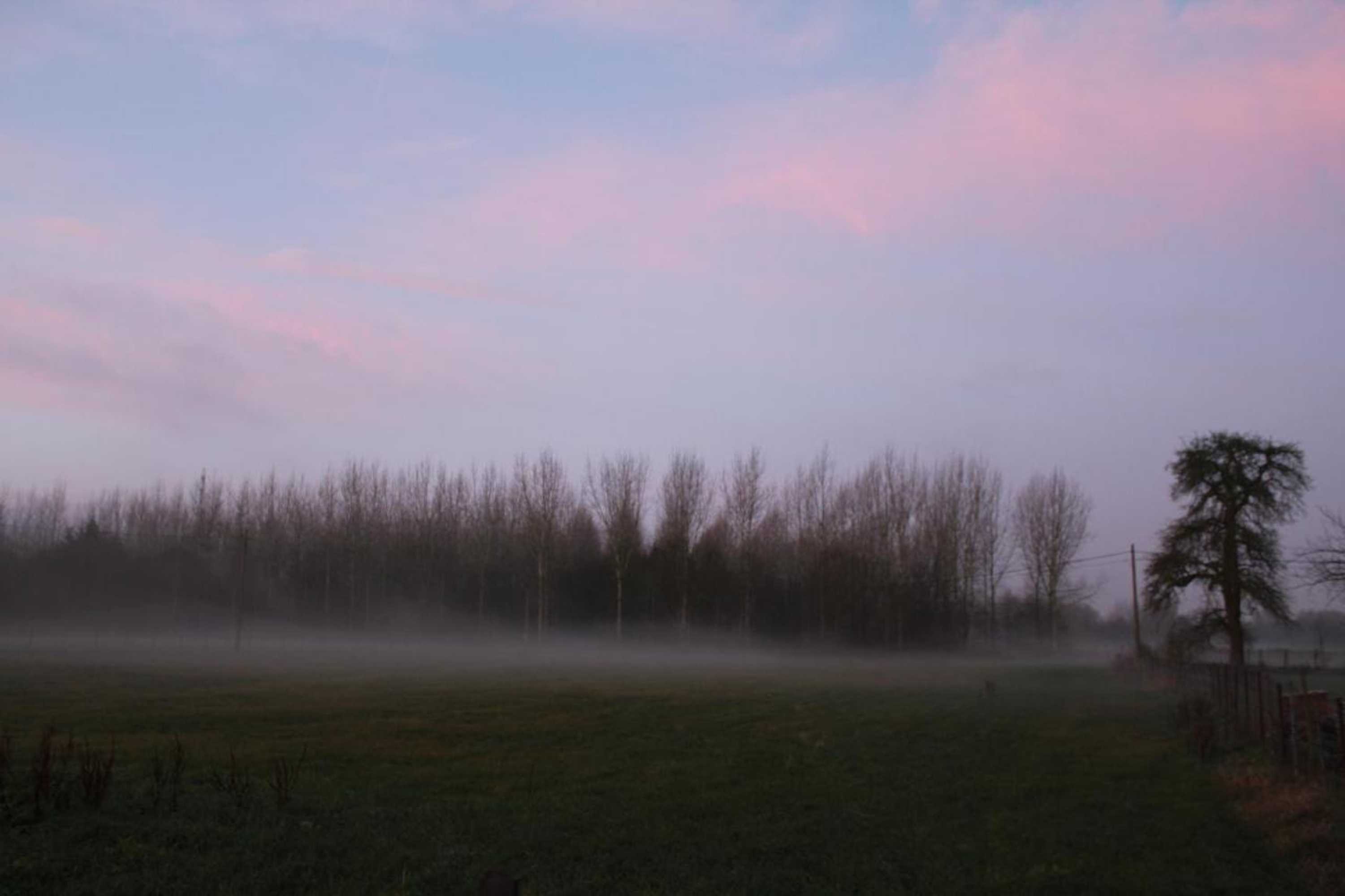 Gift card for Leybeeckhof Bed And Breakfast