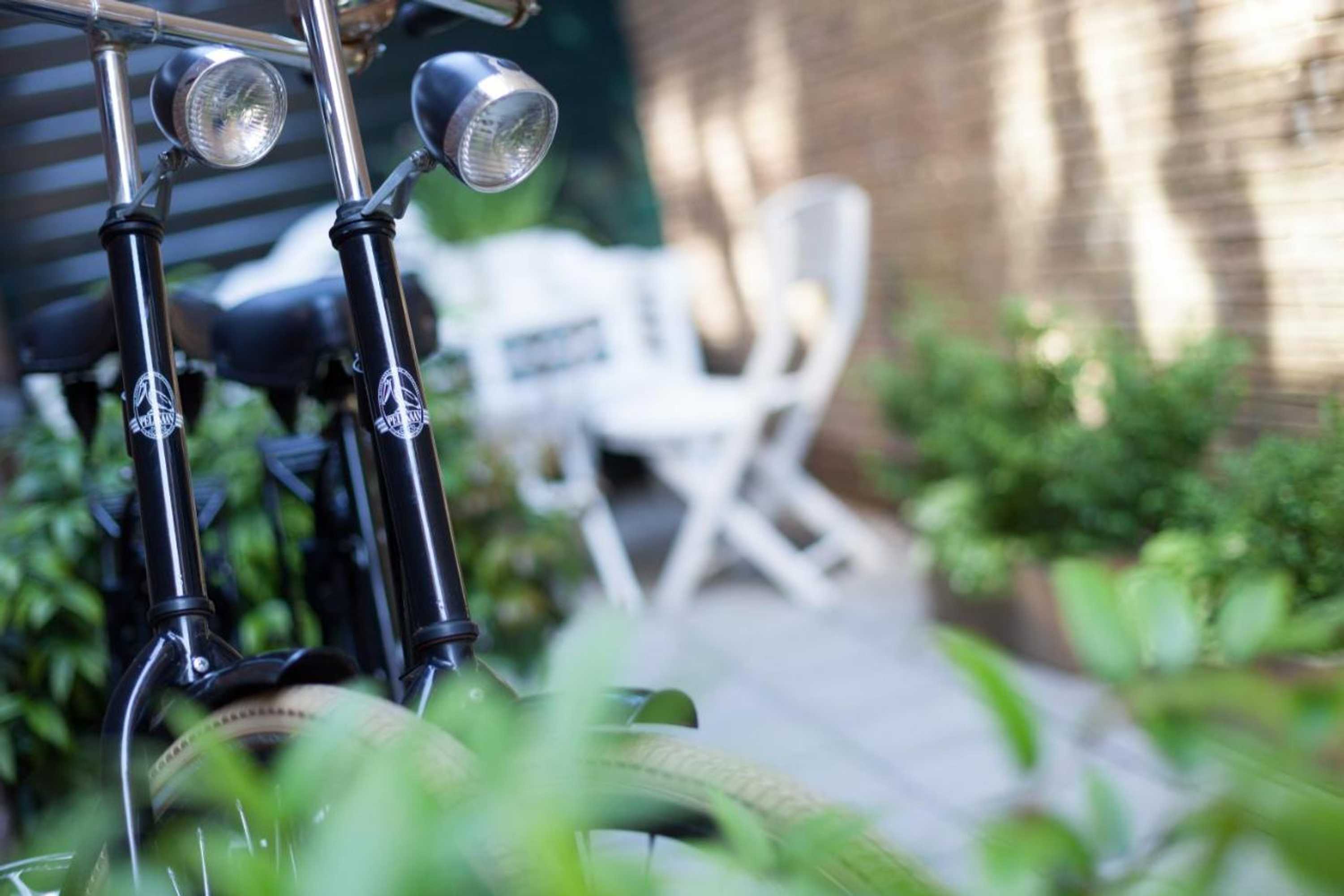 Gift card for Darley's