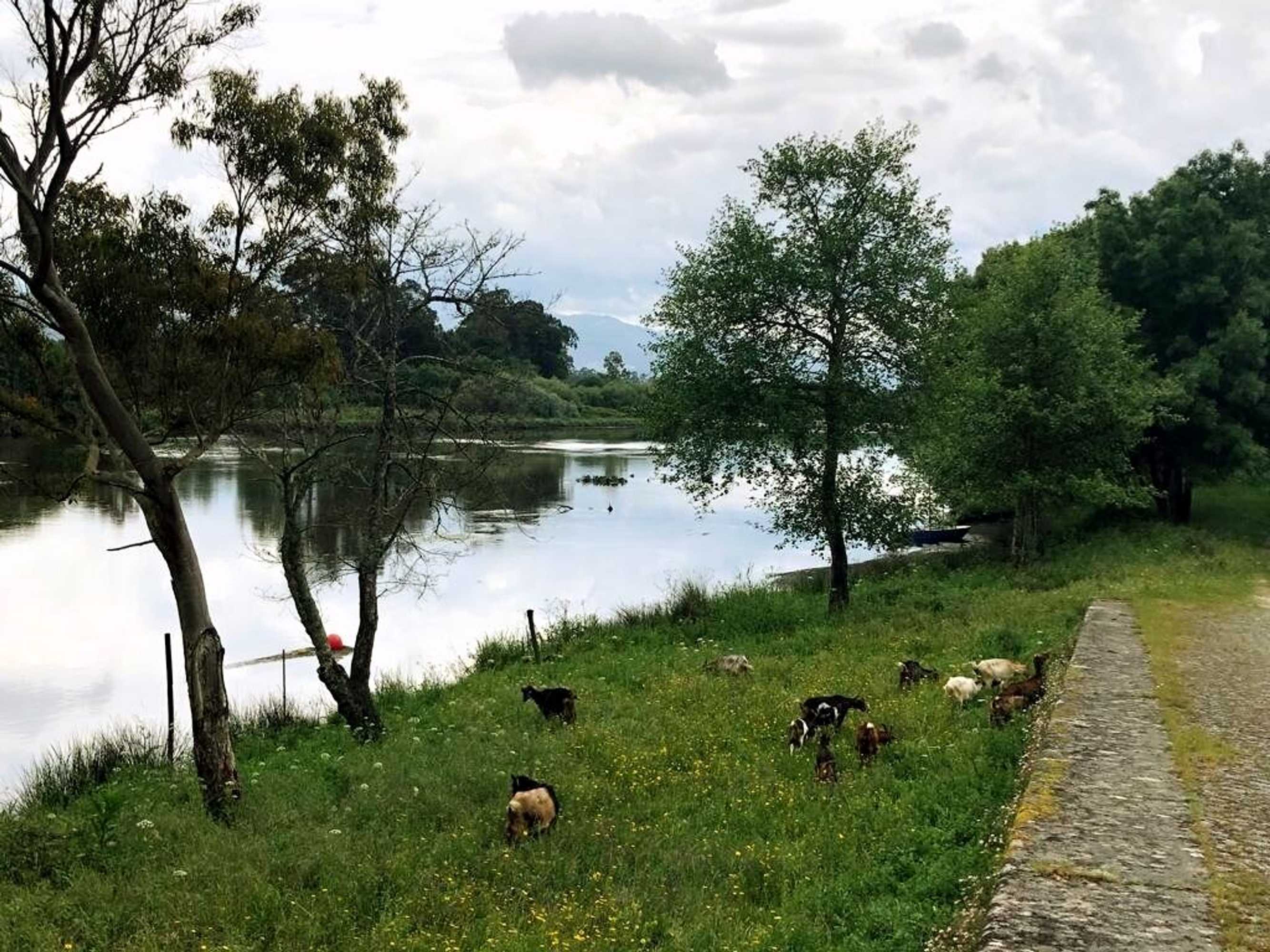 Gift card for Hotel Rural Solar Das Arcadas