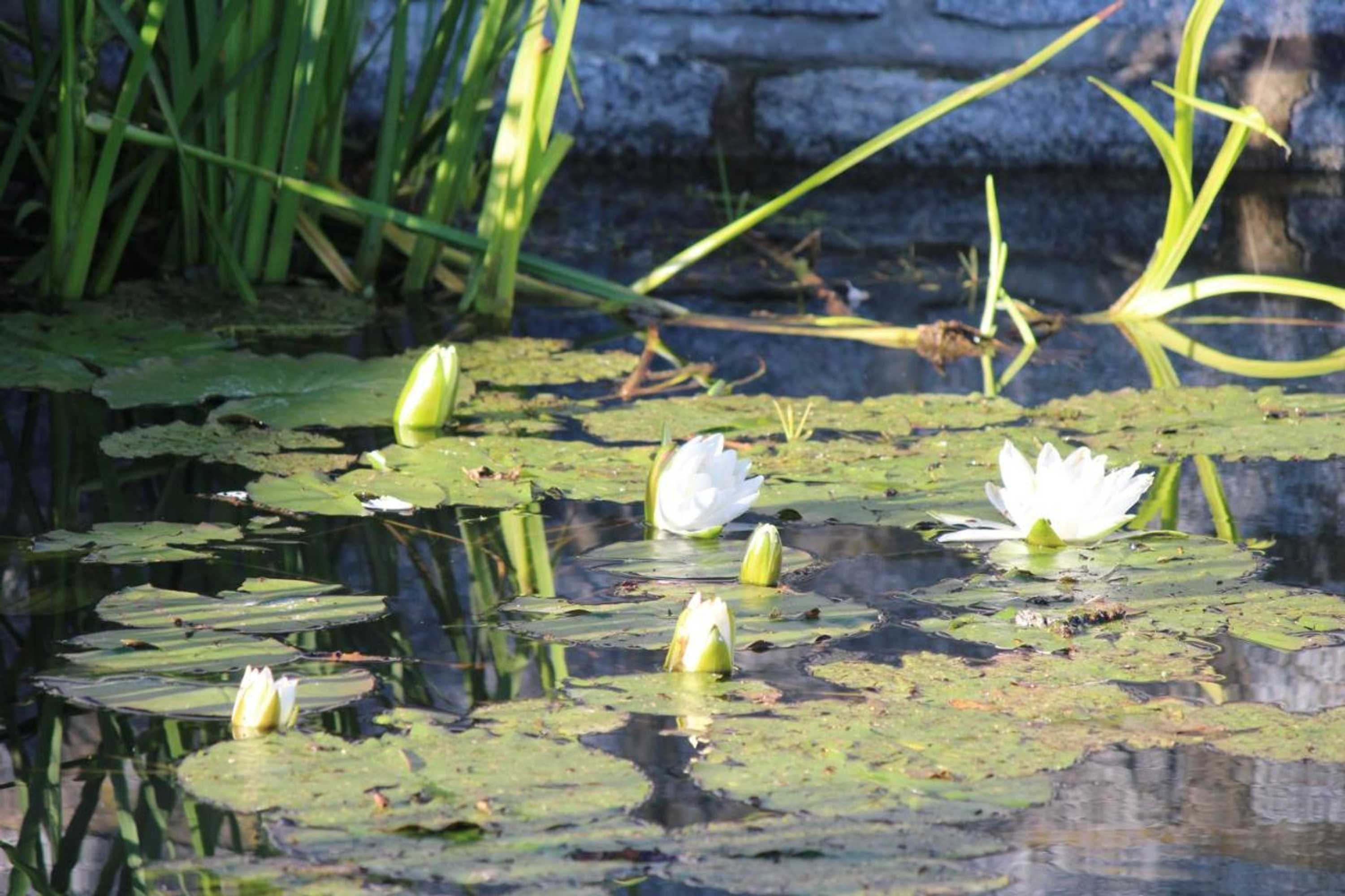 Gift card for Ferienhaus Jägerhaus Oppach Privathaus