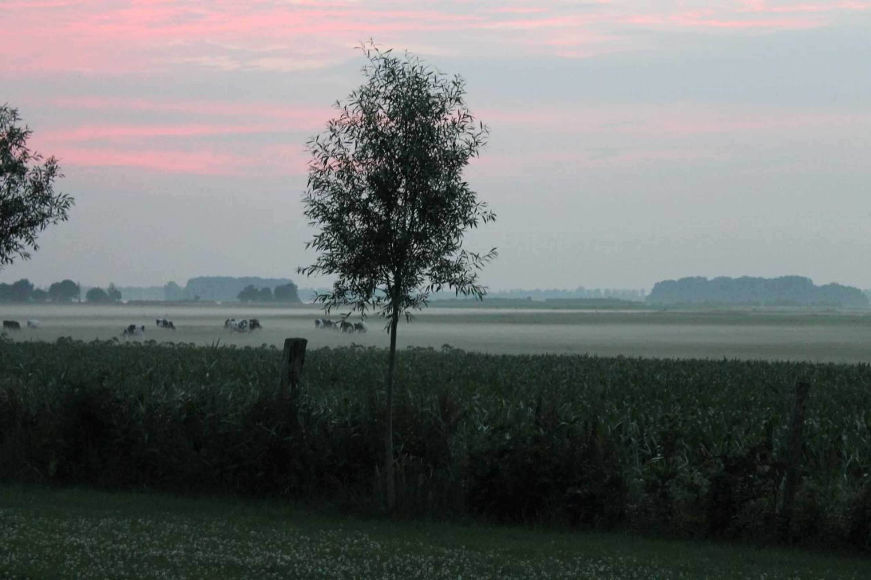 Gift card for B&b Veluwemeerpension